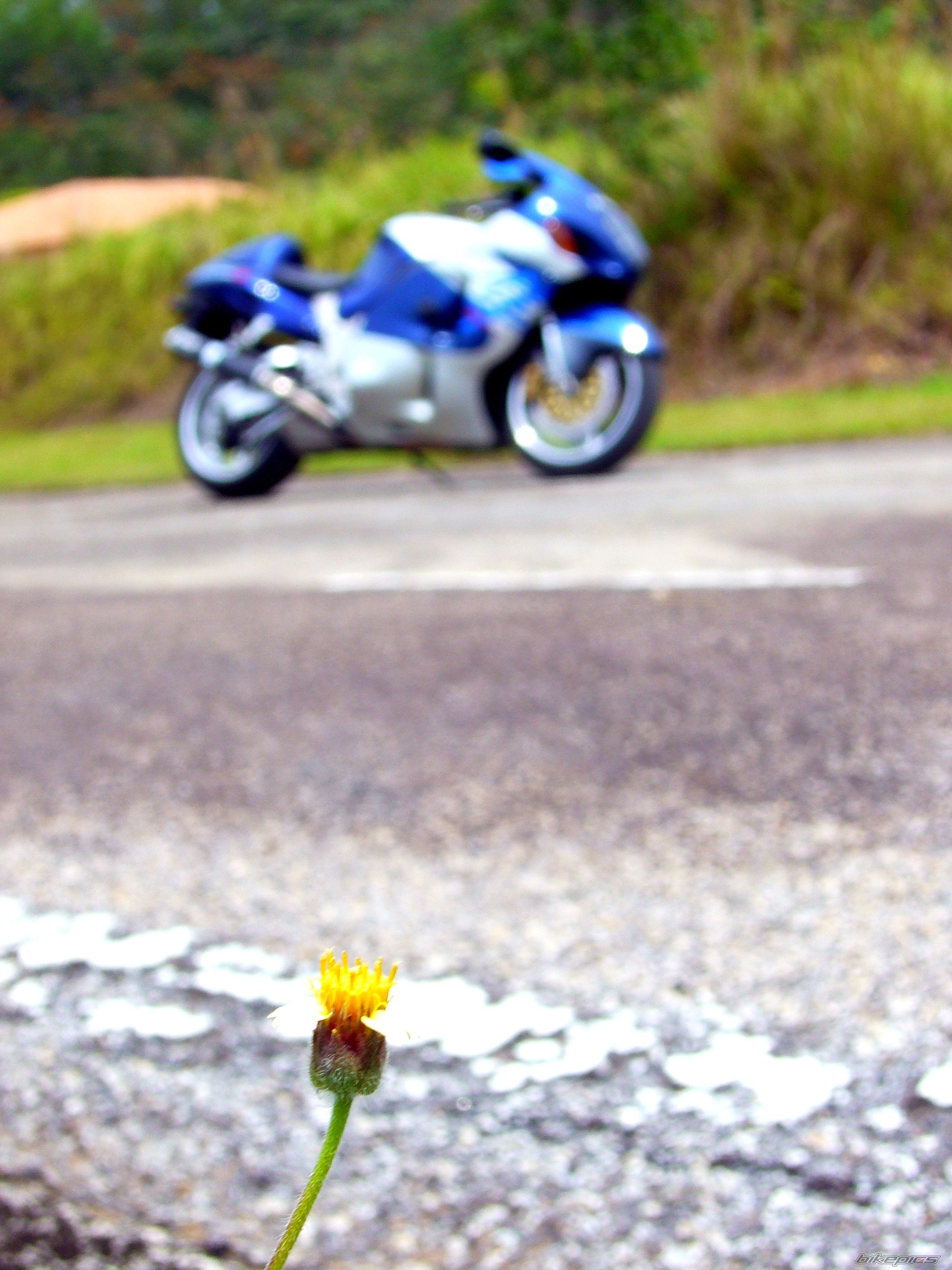 Bike Photo 1575652