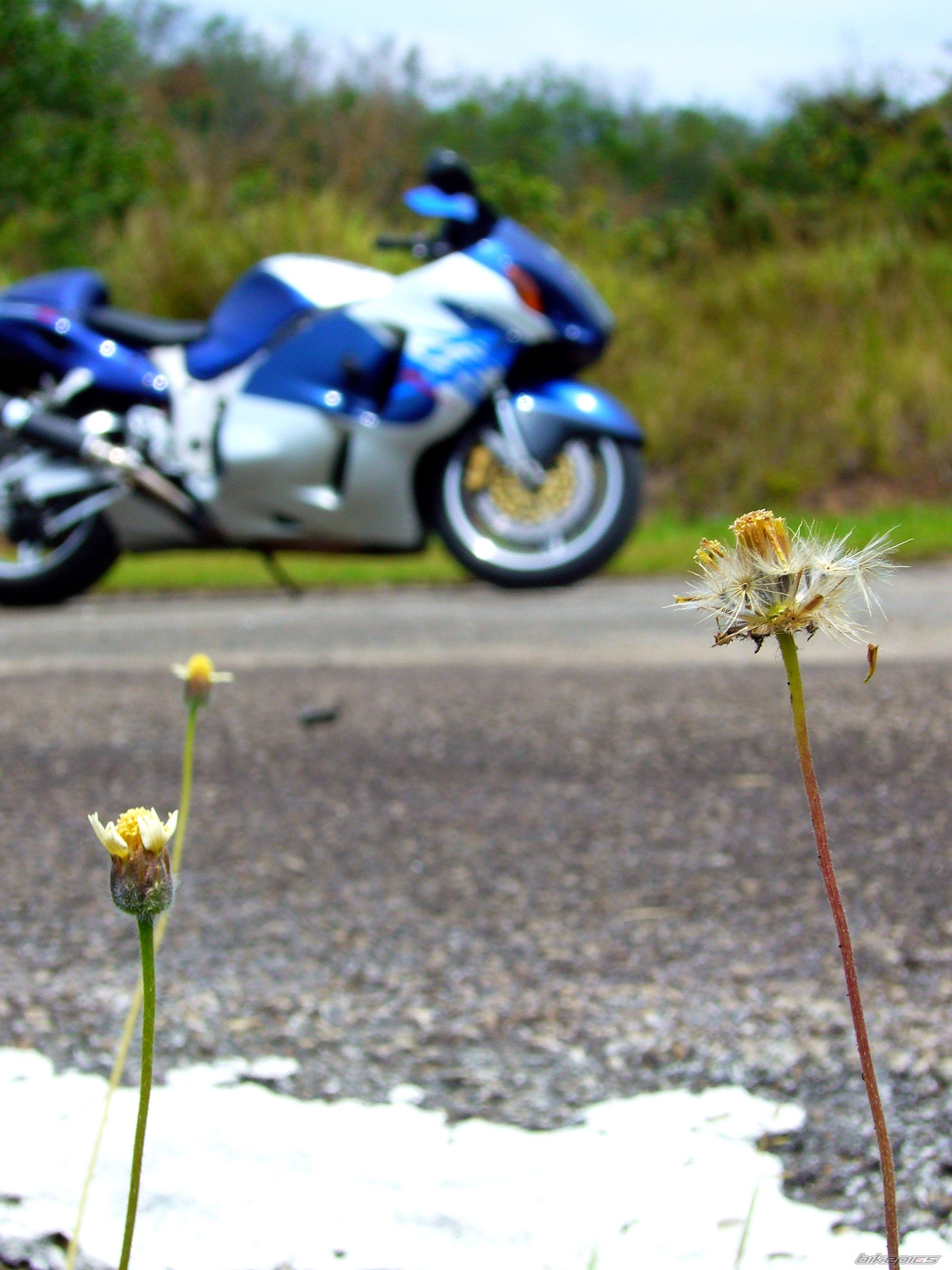 Bike Photo 1575653