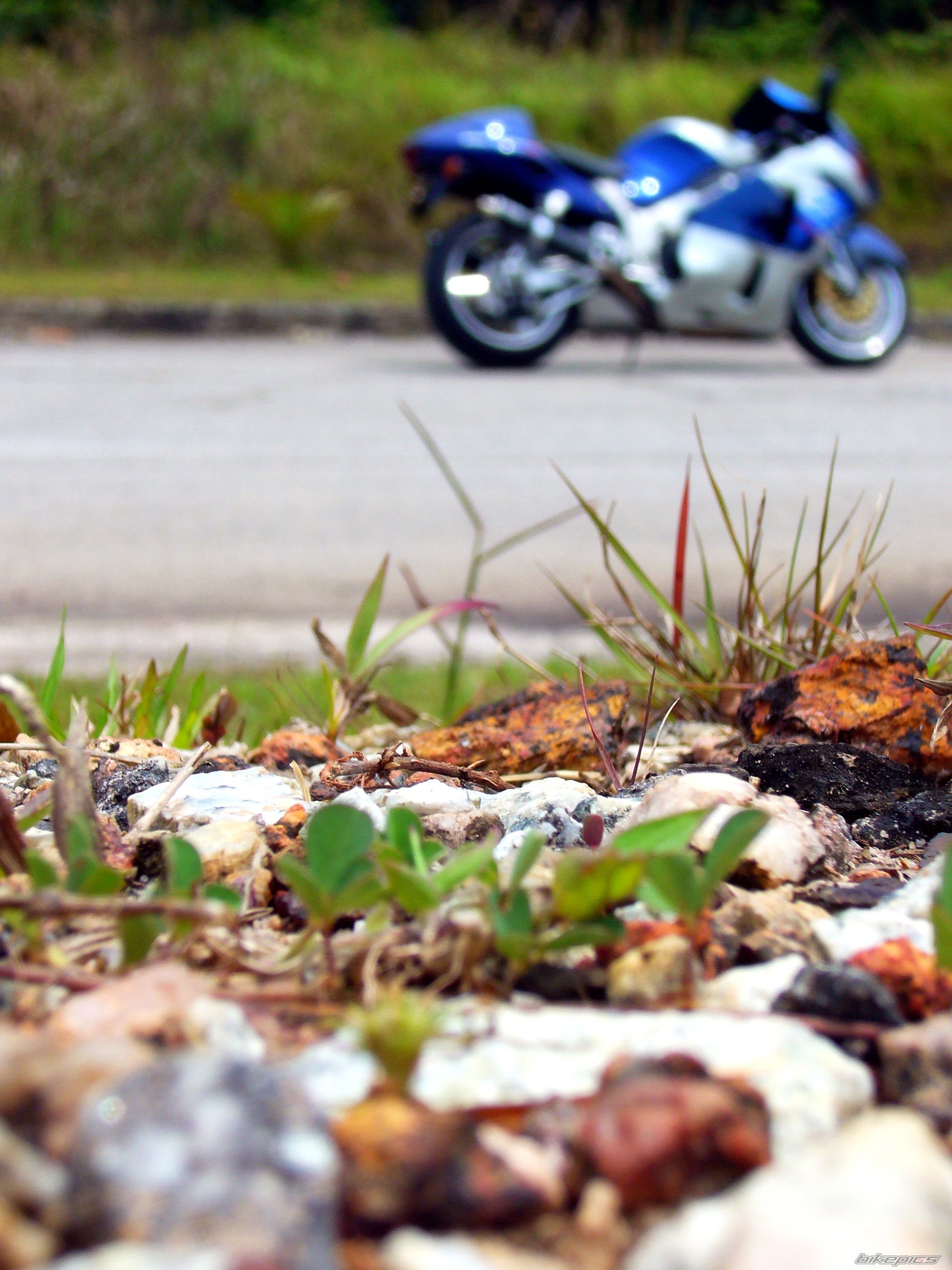 Bike Photo 1575654
