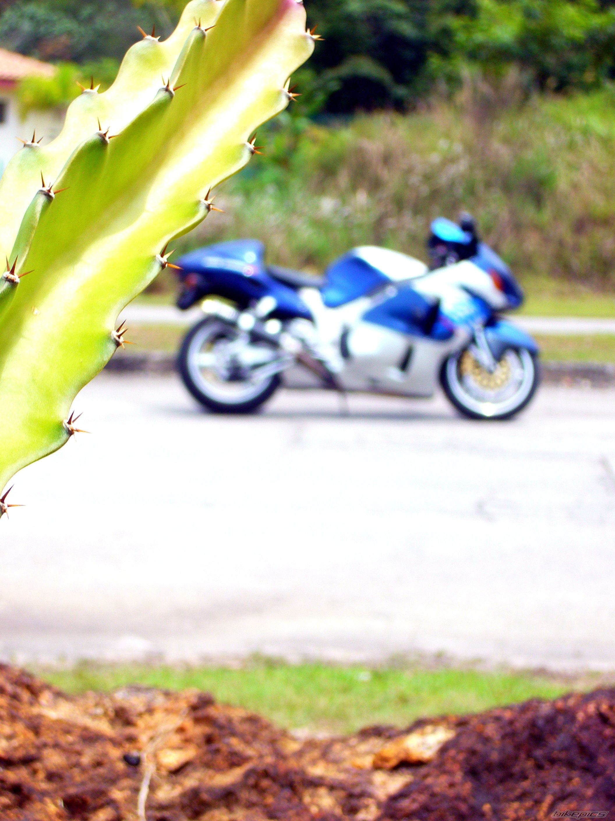 Bike Photo 1575657