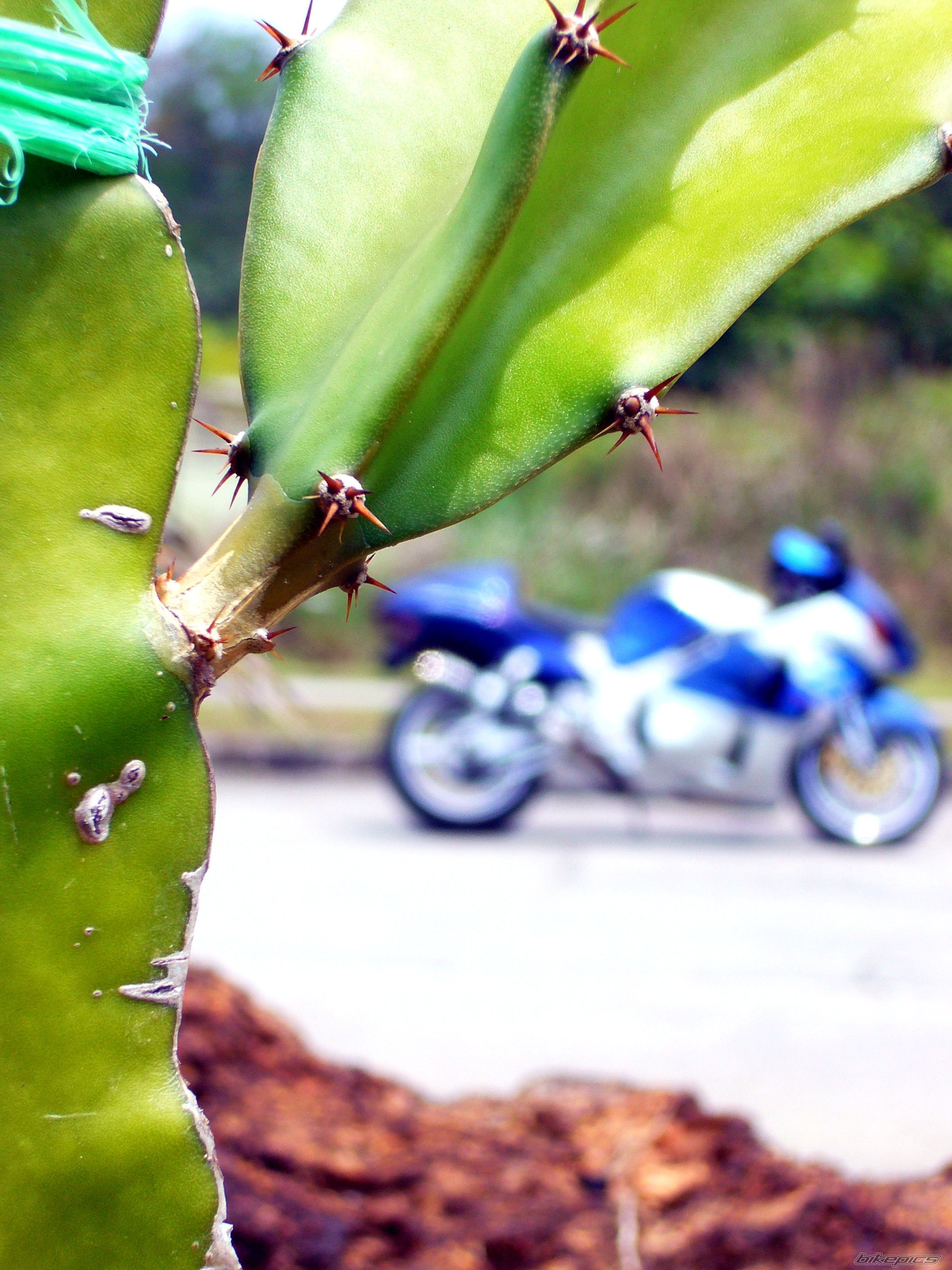 Bike Photo 1575658
