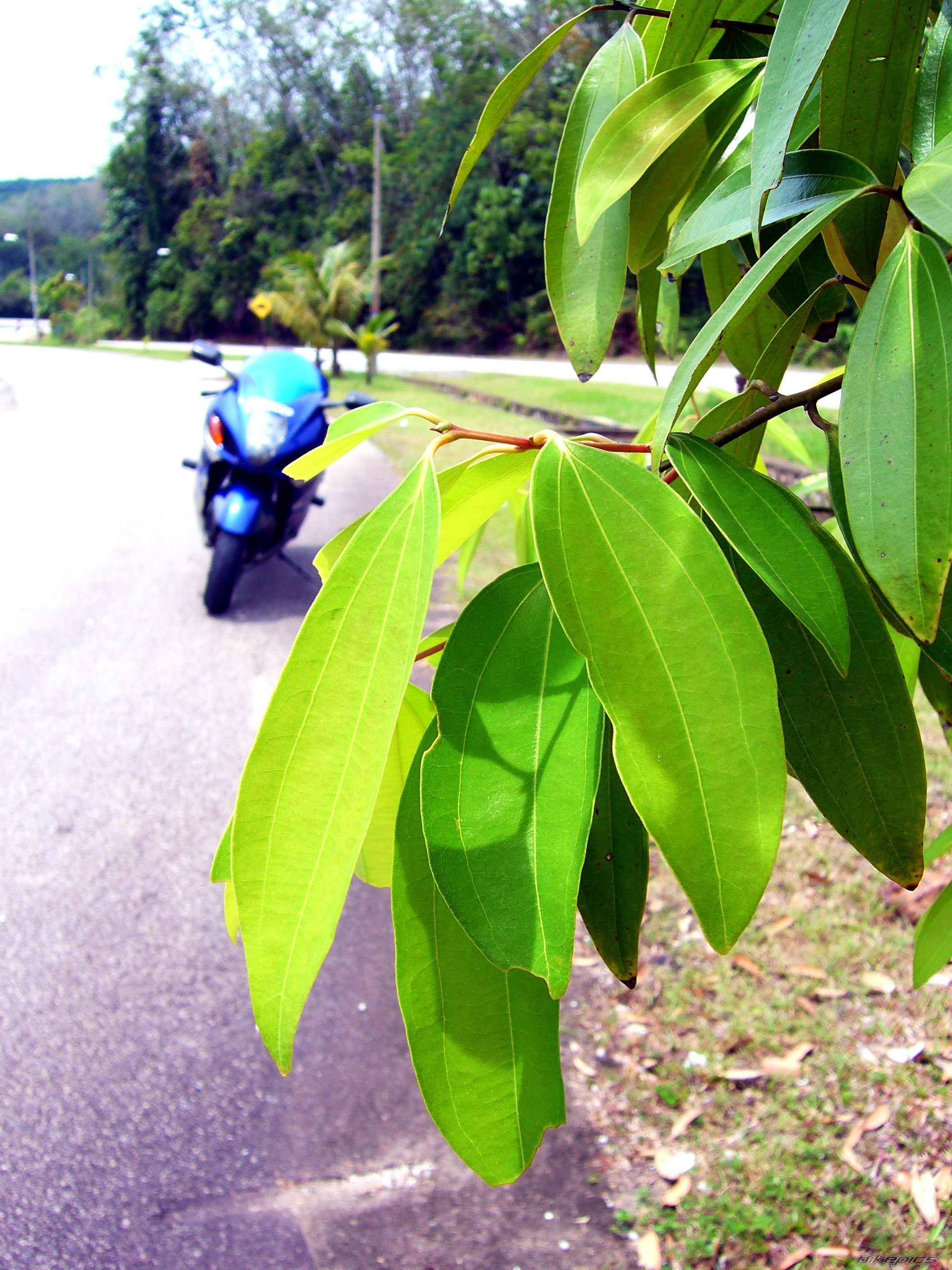 Bike Photo 1575668