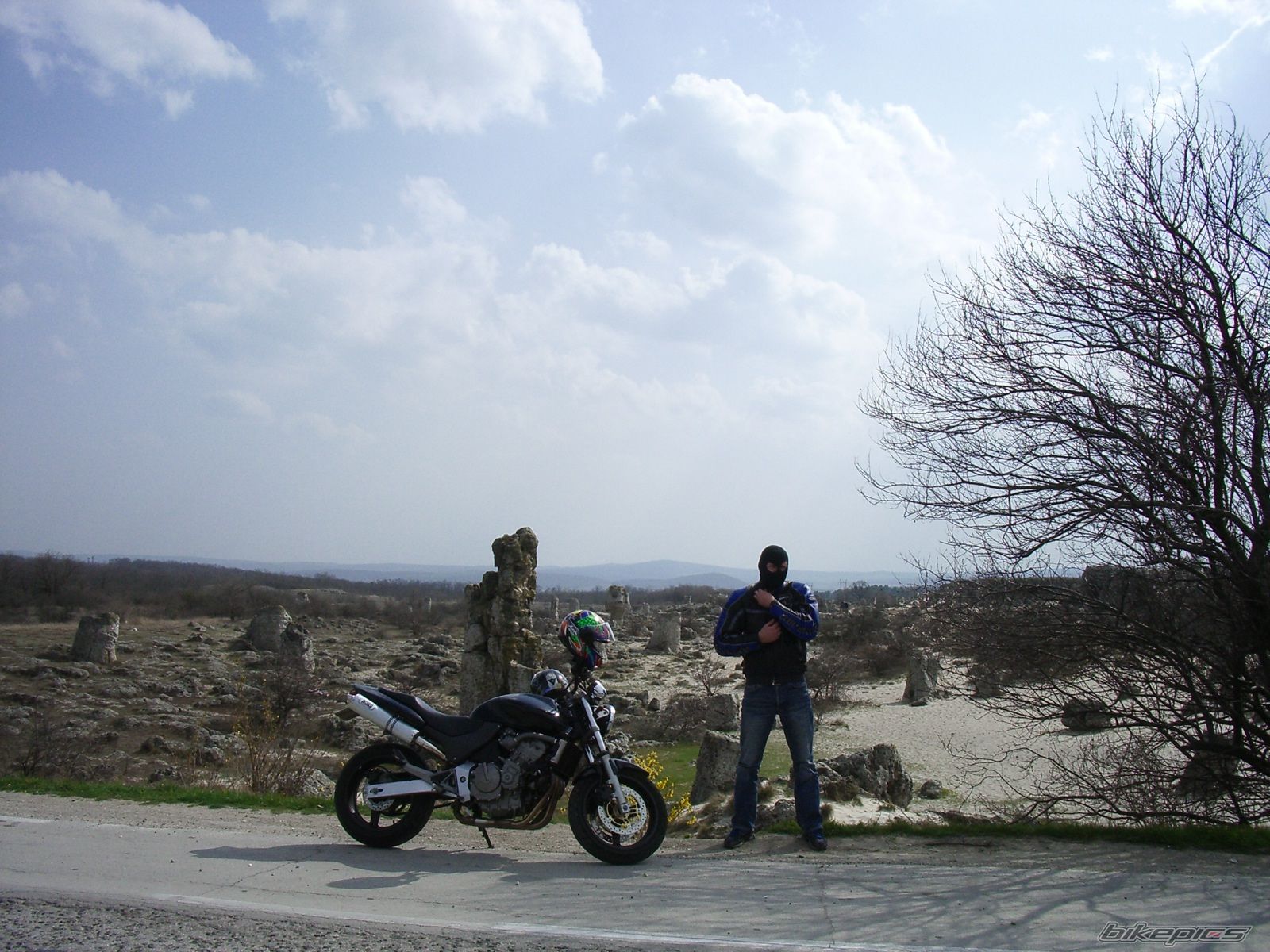 Photo 1575684