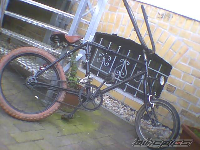 Photo 157574