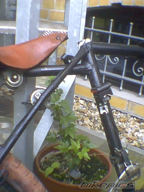 Photo 157576