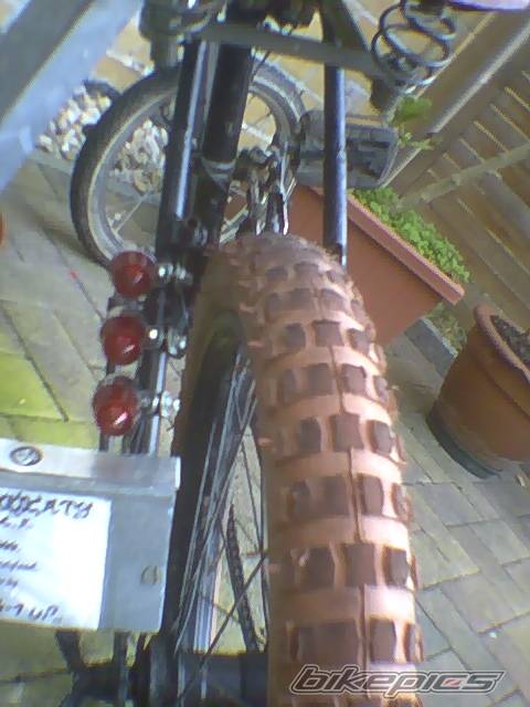 Photo 157577