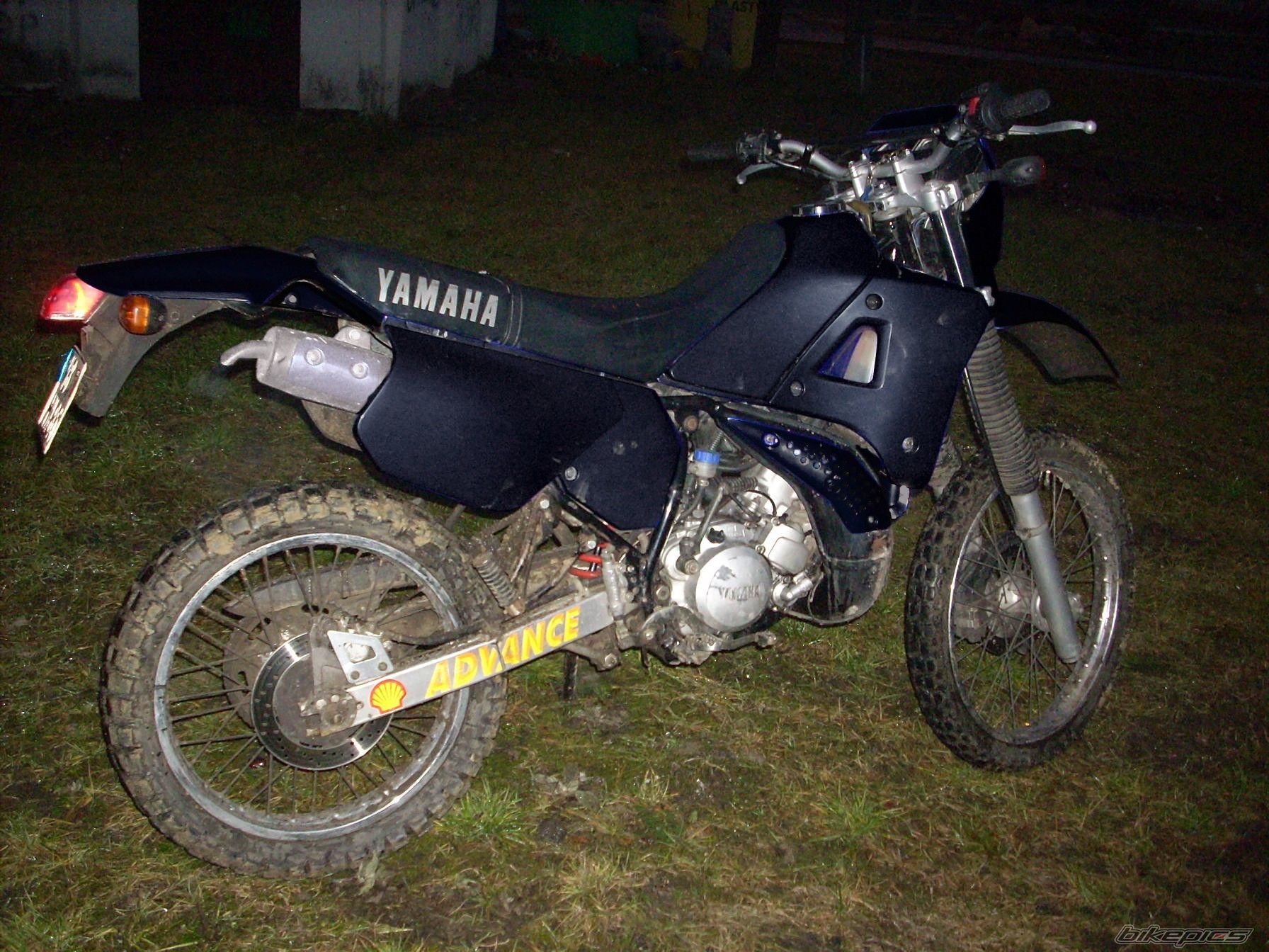 Photo 1575790