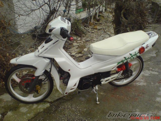 Photo 1575856