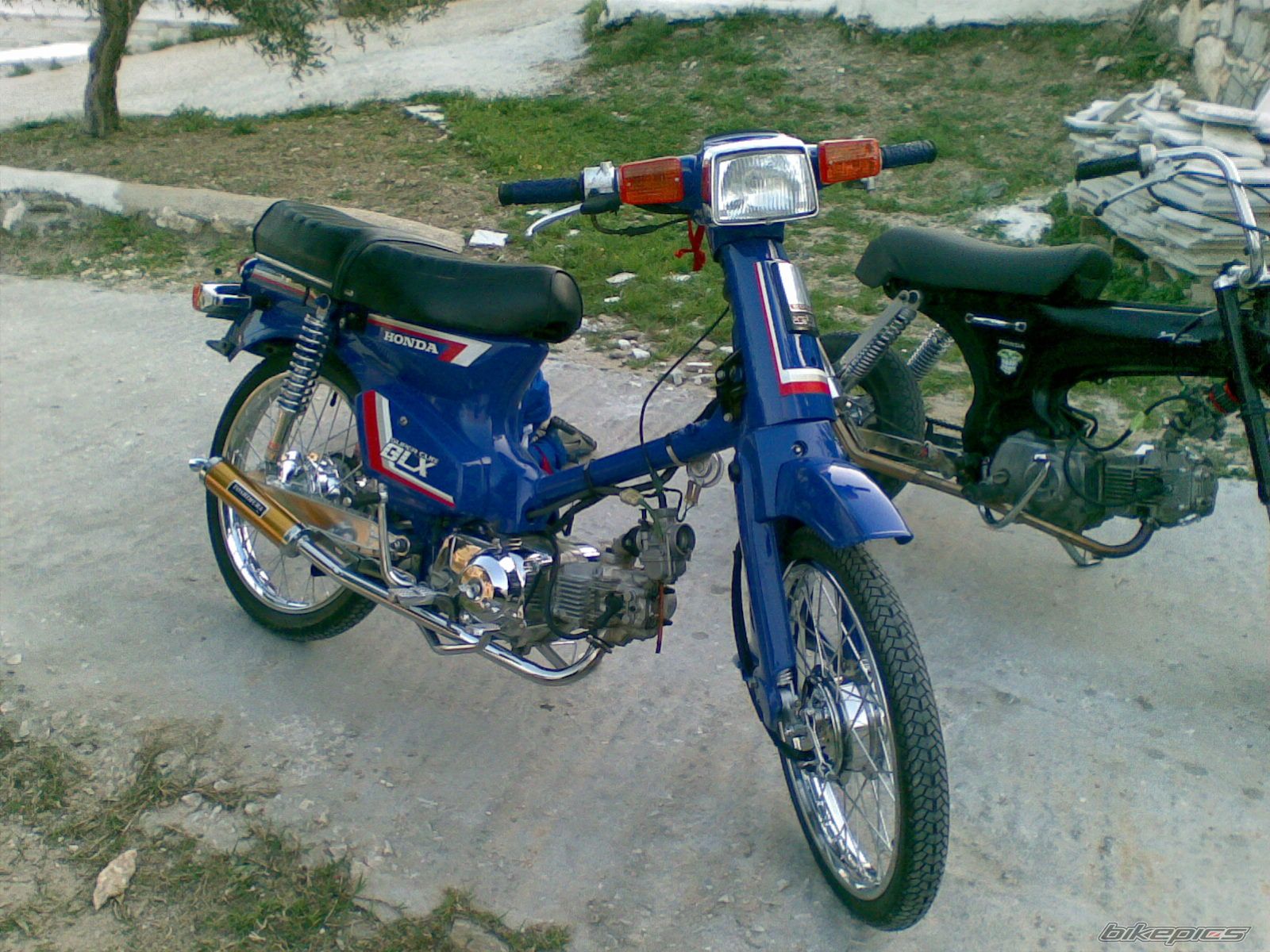 Photo 1575864