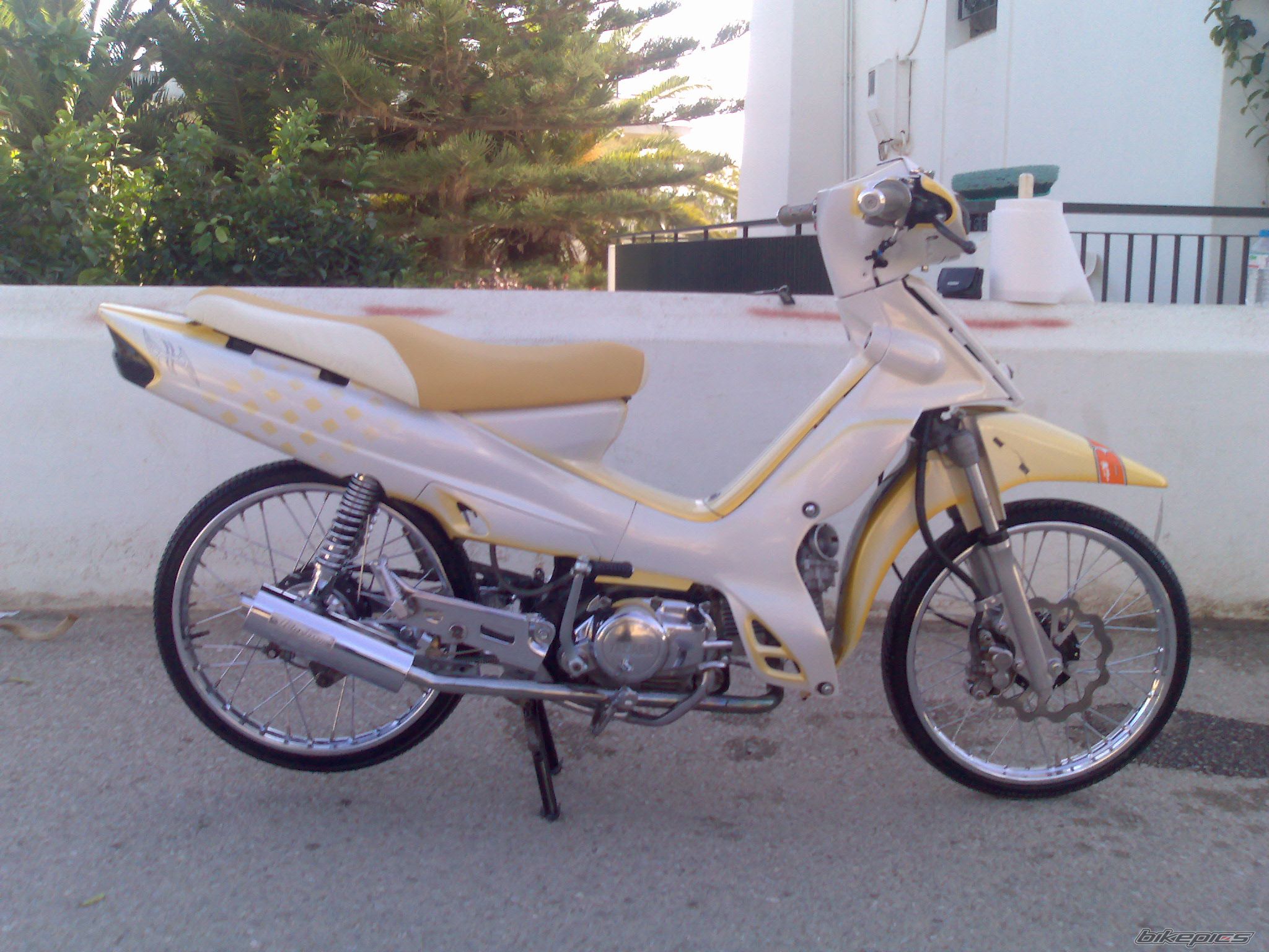 Photo 1575892