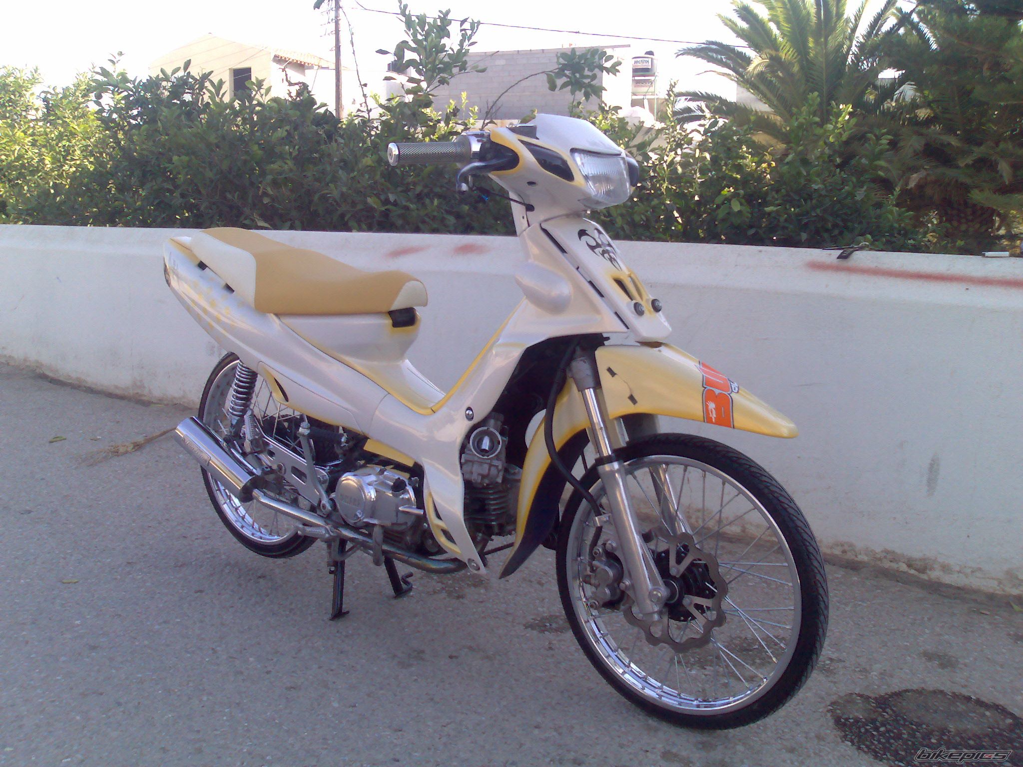 Photo 1575895
