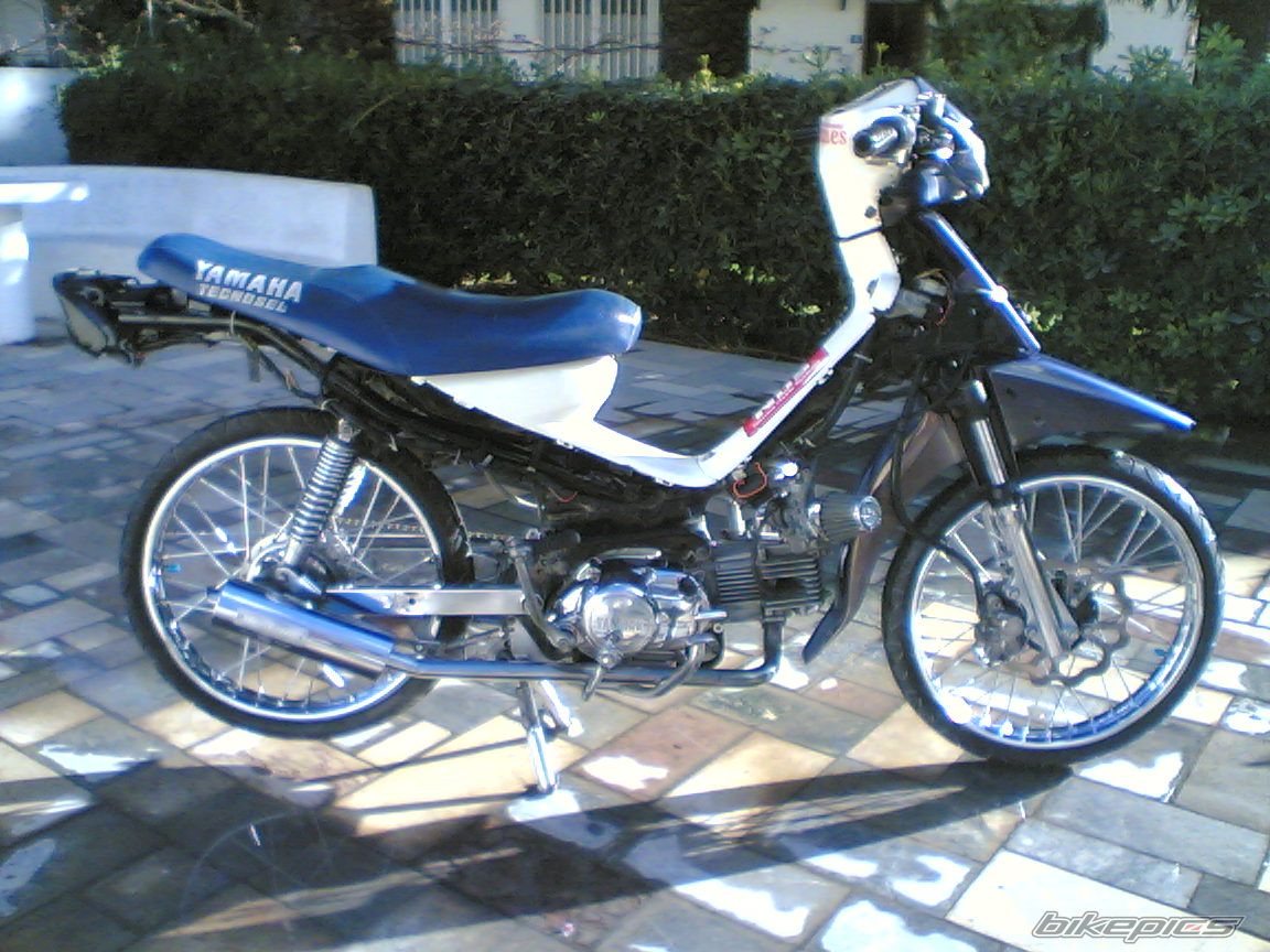 Photo 1575898