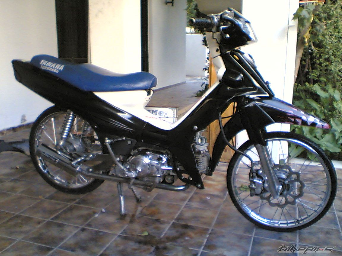 Photo 1575899