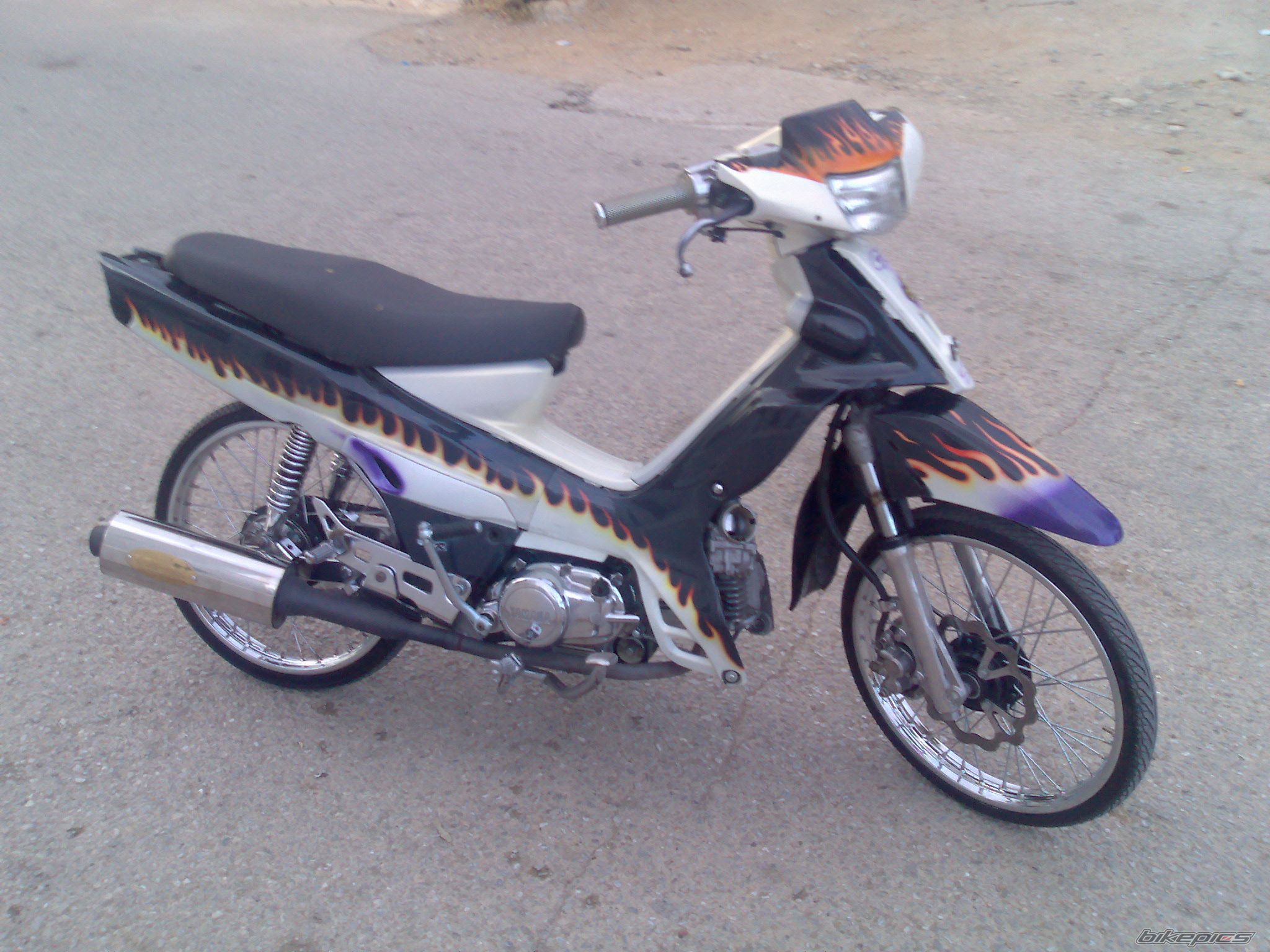 Photo 1575904