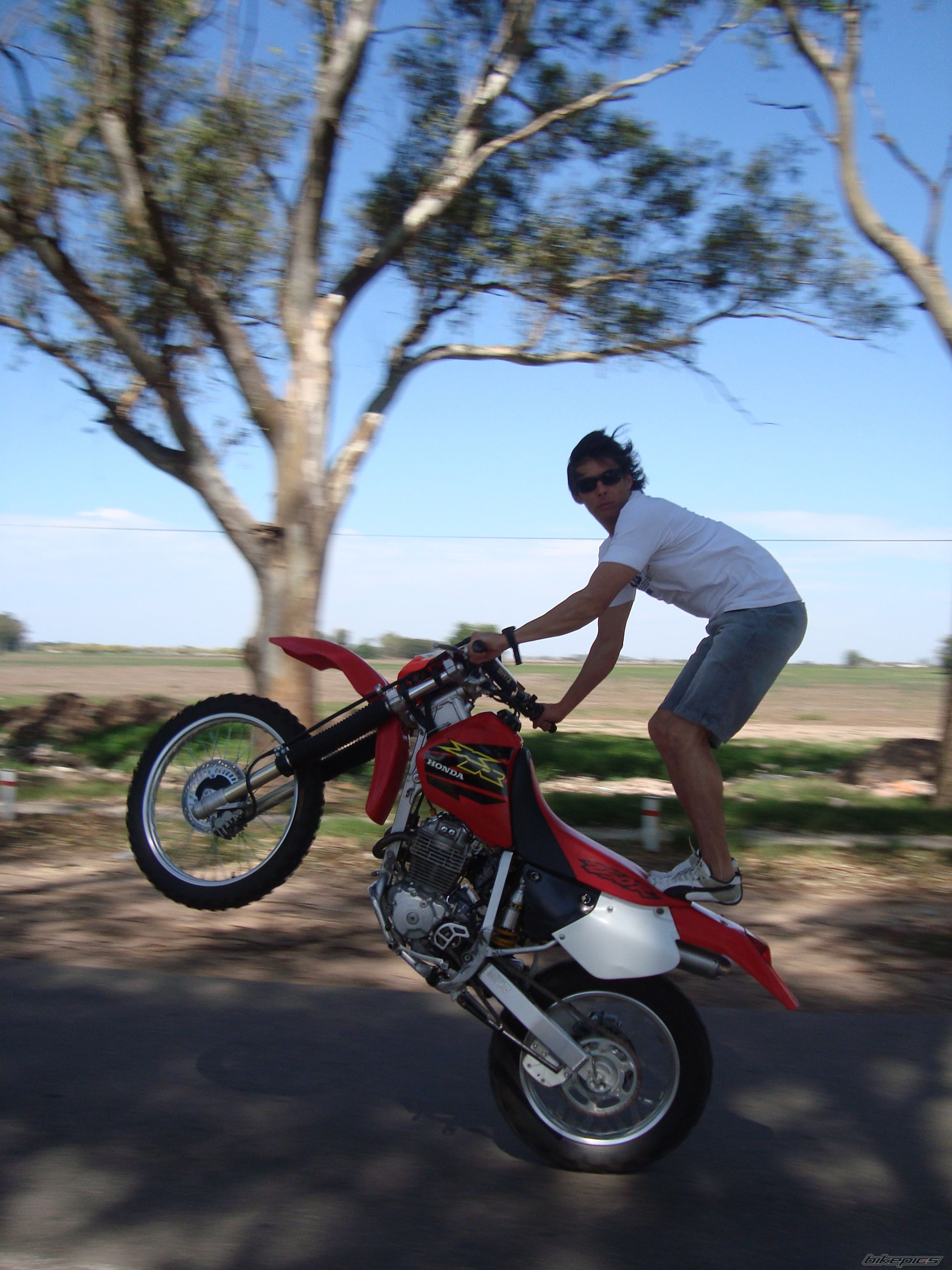 Photo 1575916