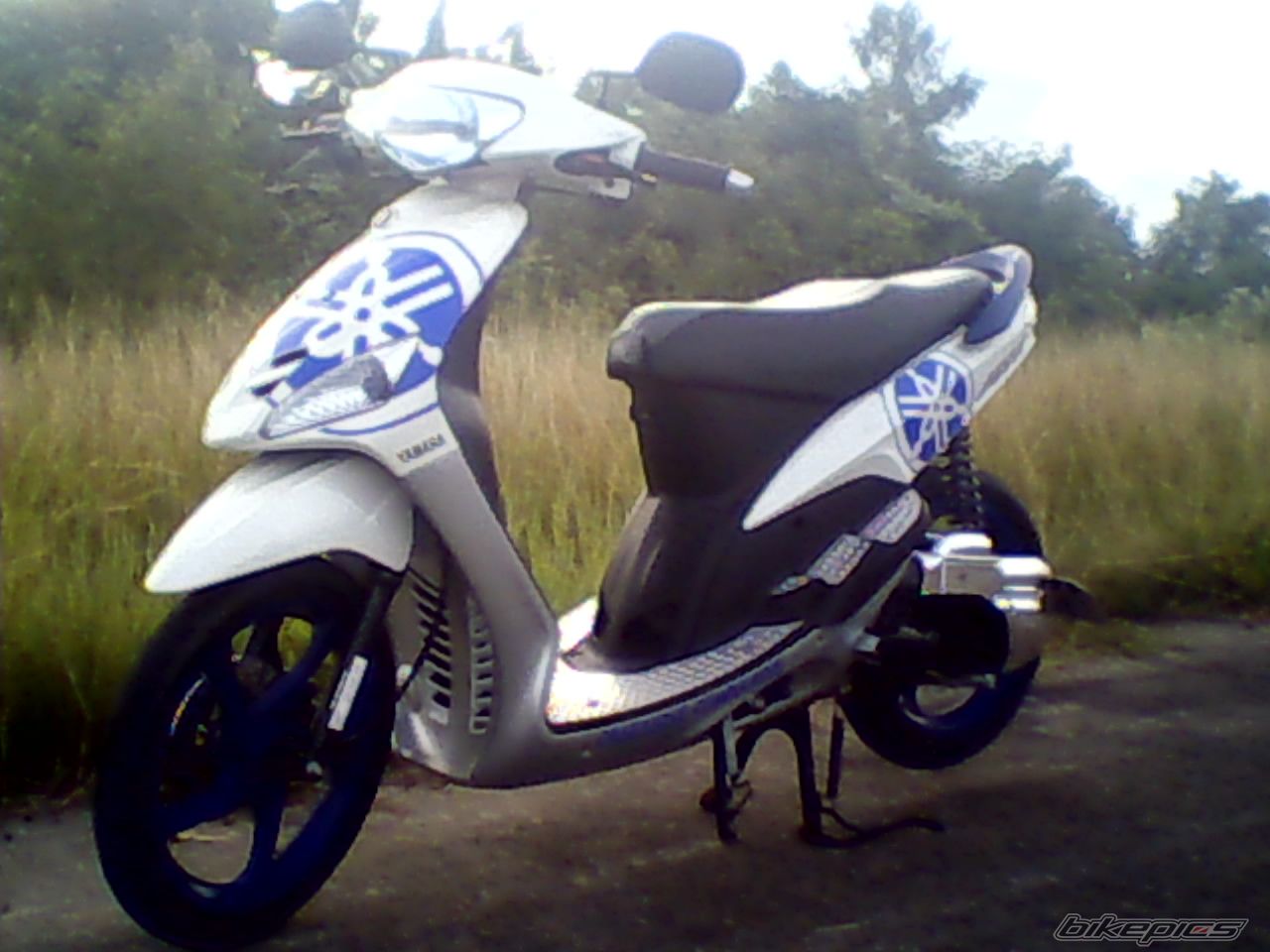 Photo 1575935