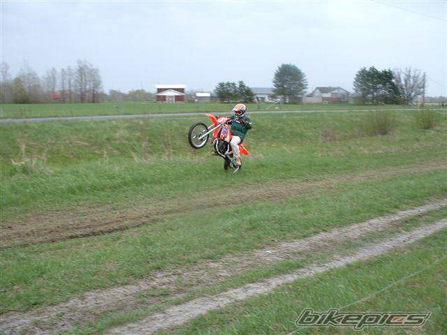 Photo 157604