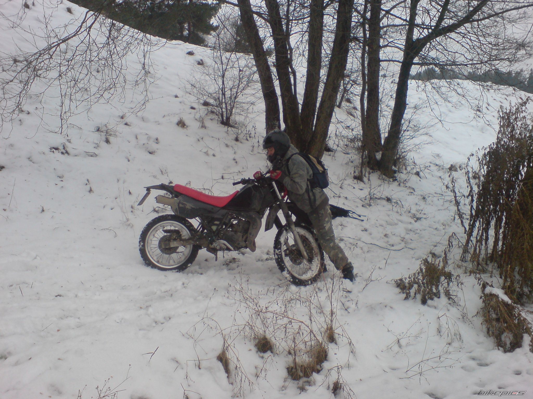 Bike Photo 1576188