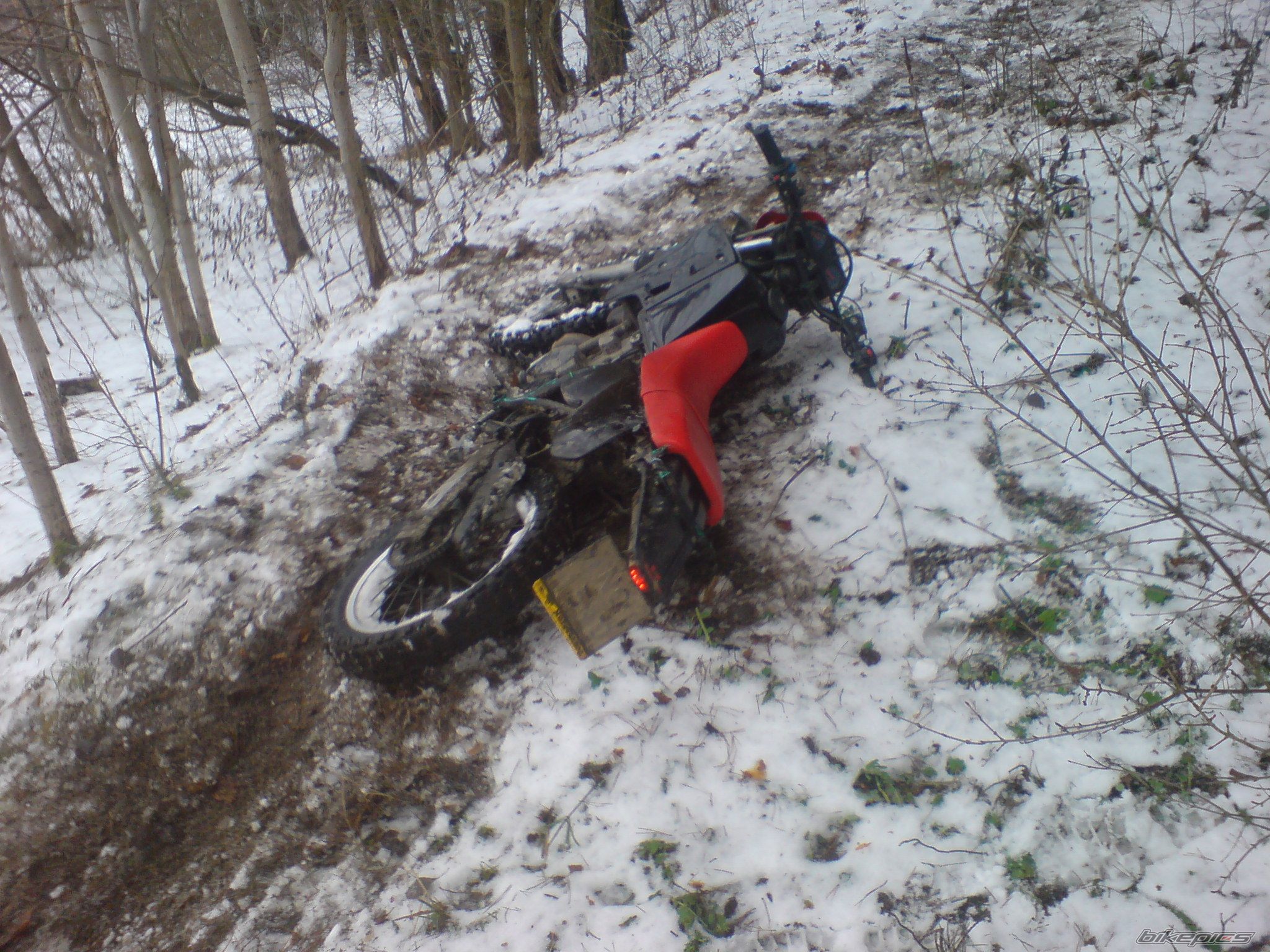Photo 1576196