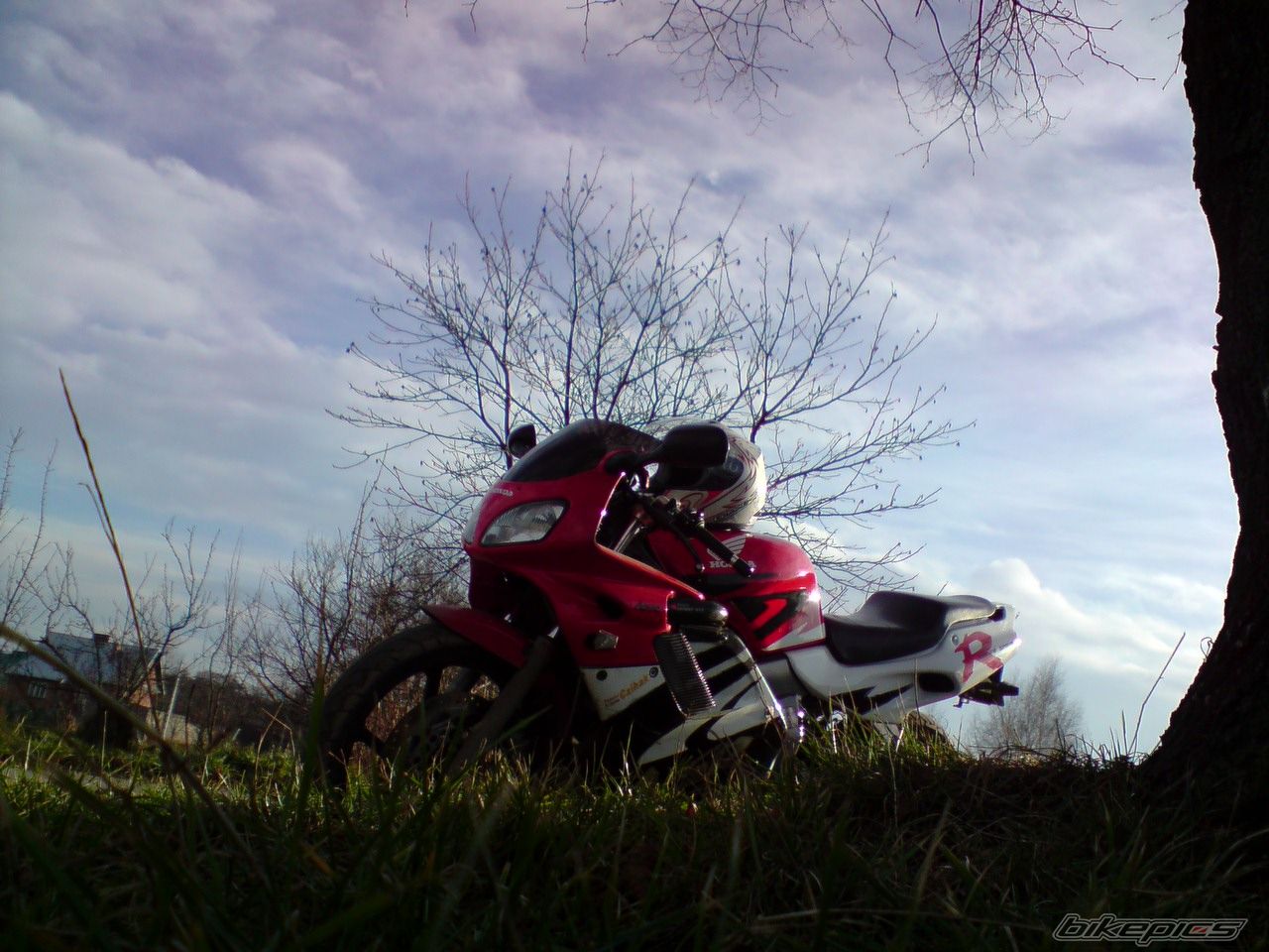 Photo 1576245