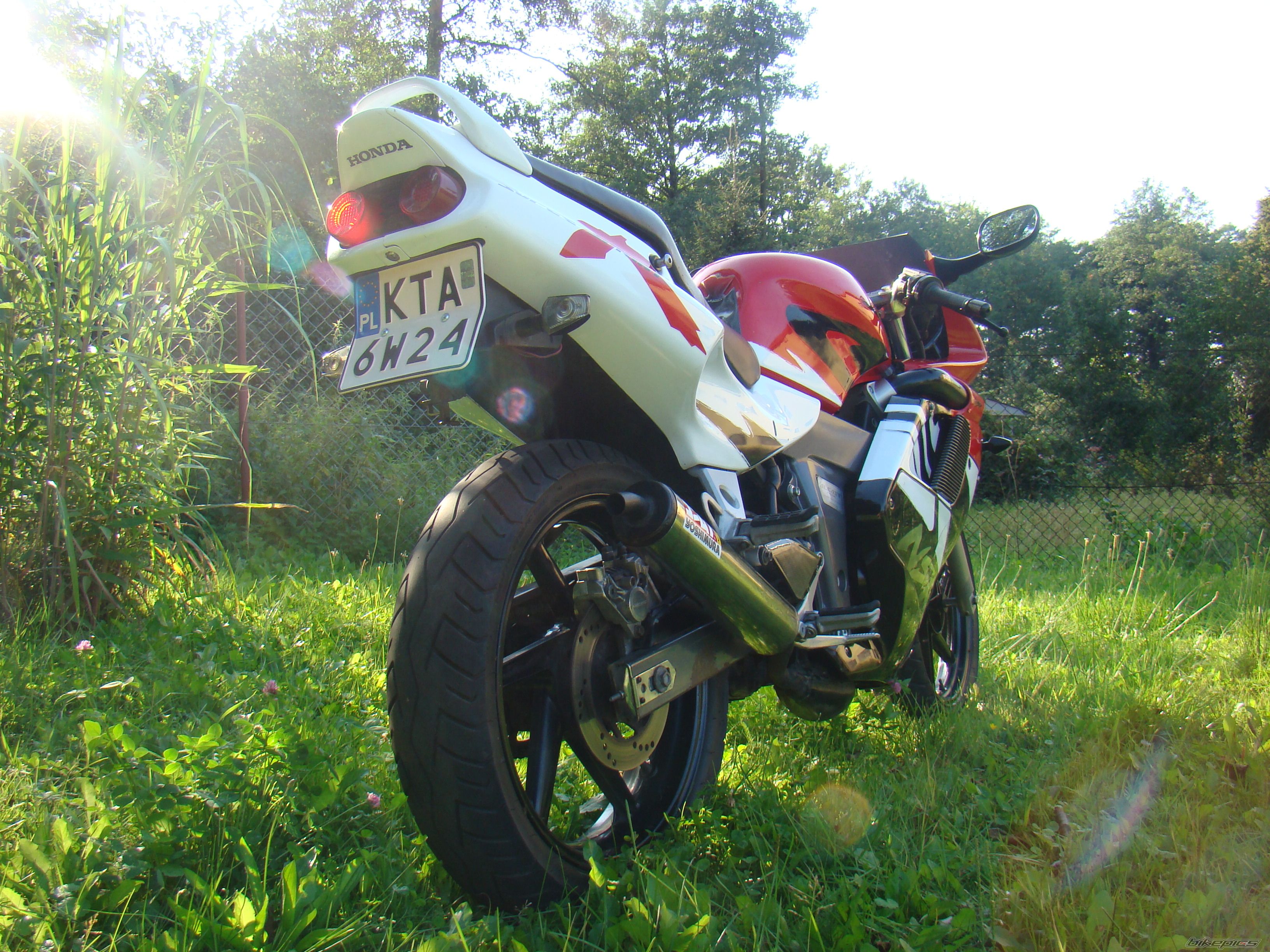 Photo 1576255