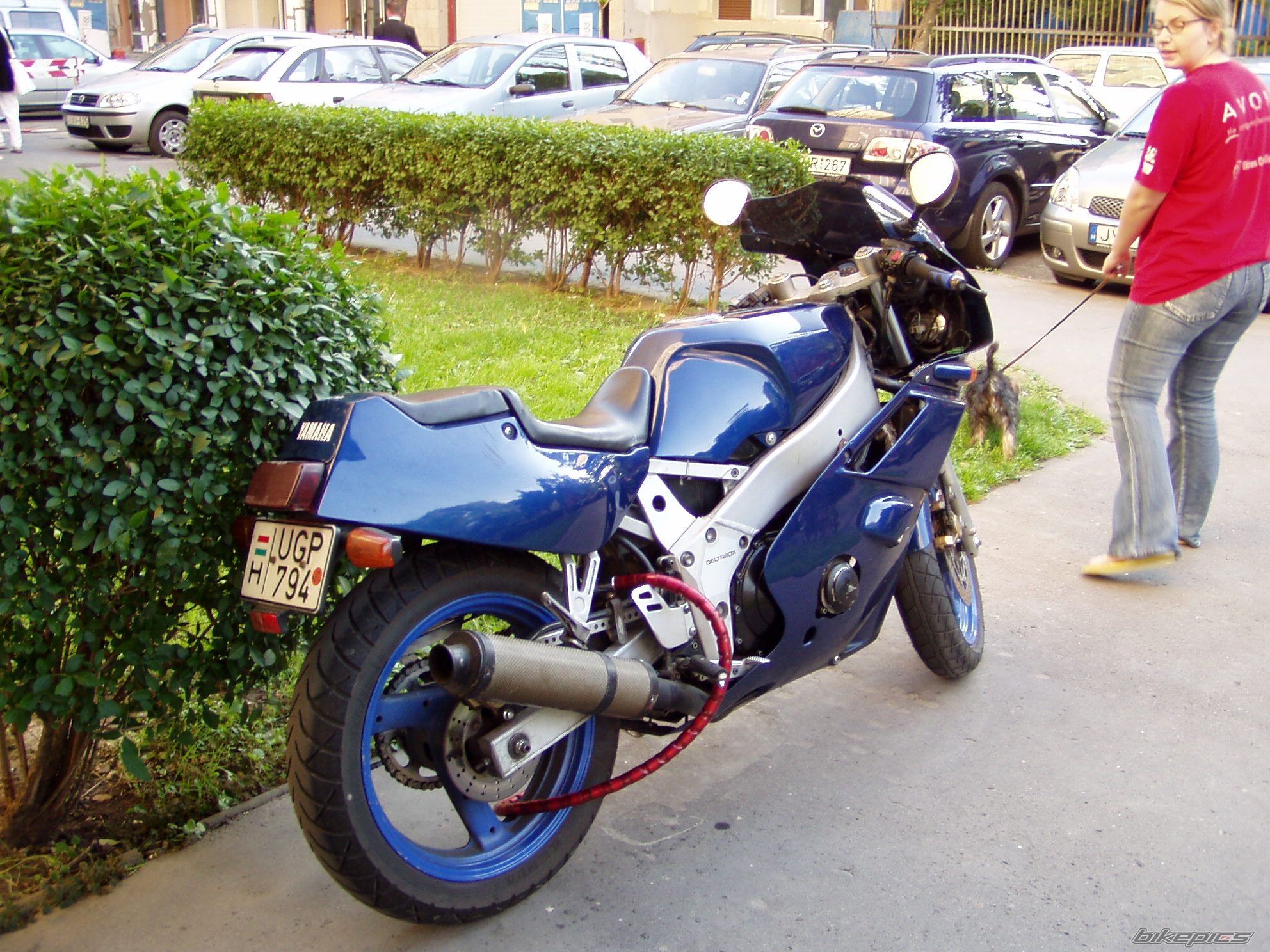 Photo 1576293