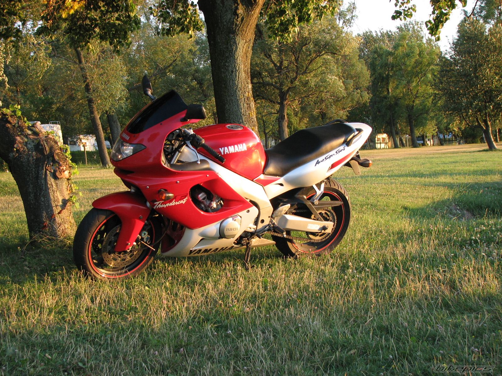 Bike Photo 1576311