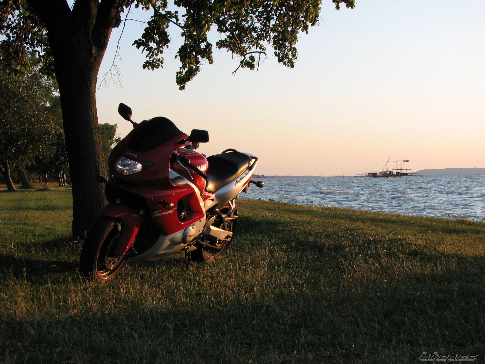 Bike Photo 1576314