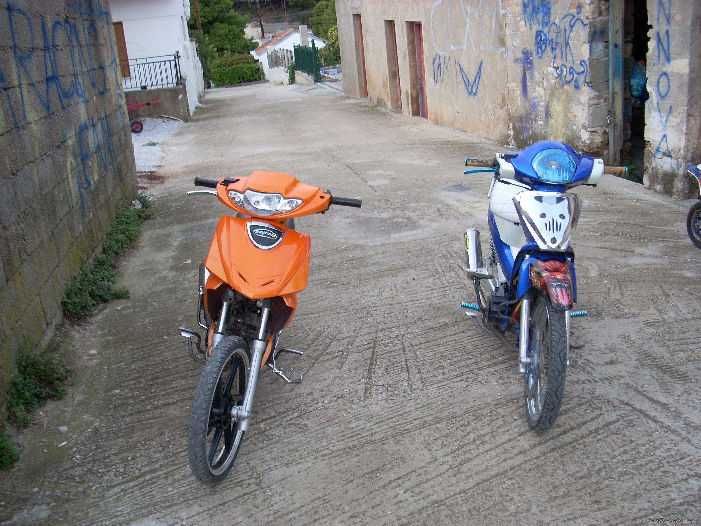 Photo 1576454