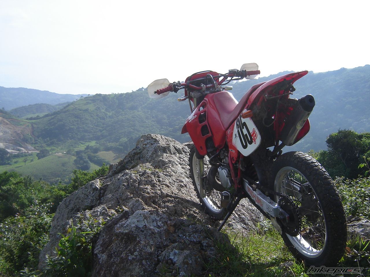 Photo 1576461