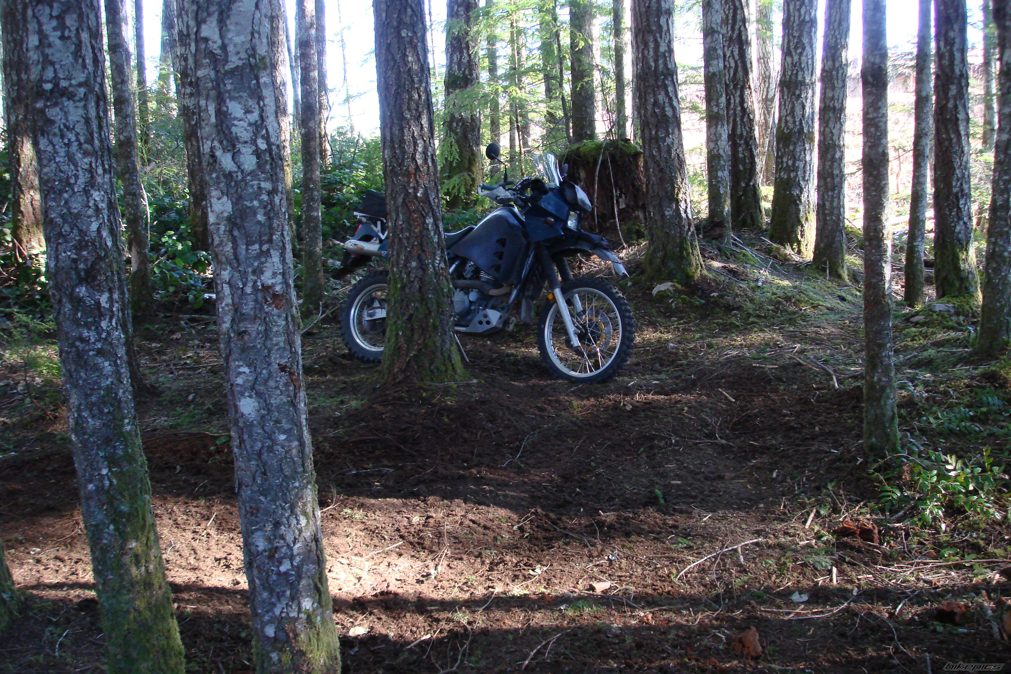 Photo 1576521