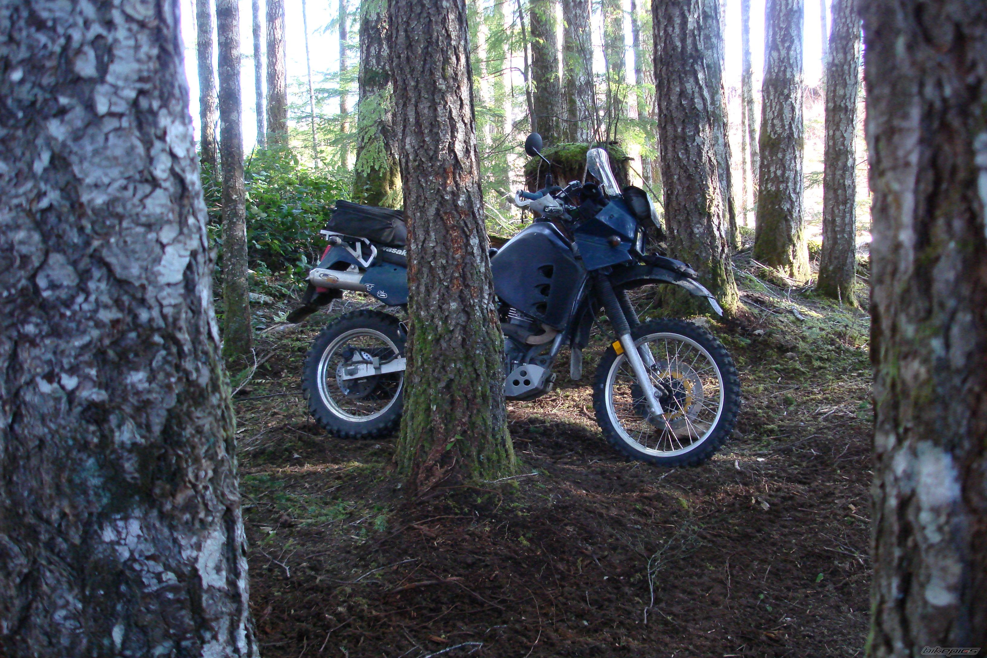 Photo 1576522