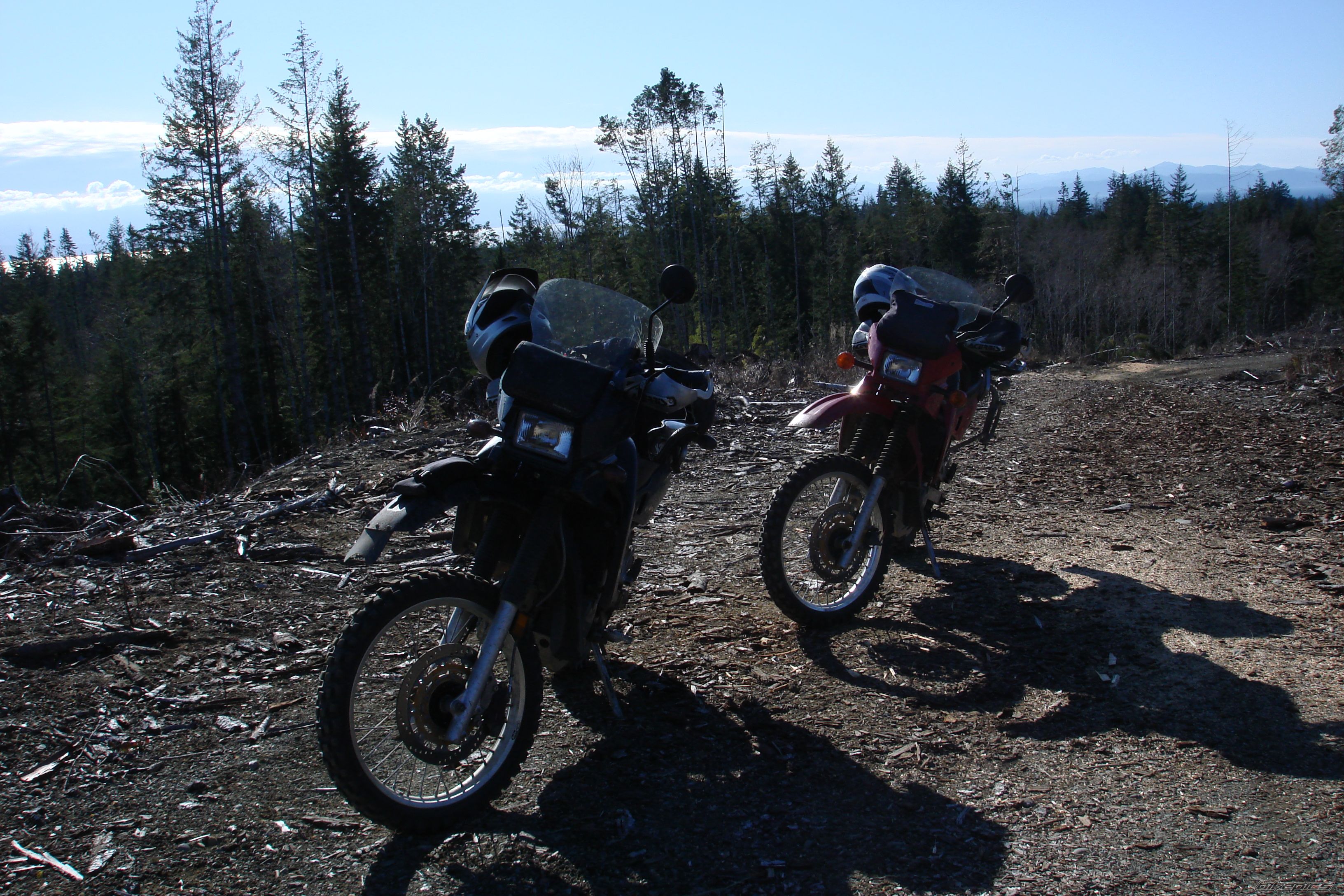Photo 1576524