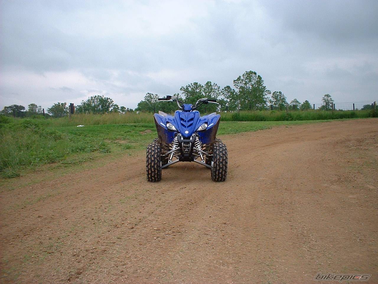 Photo 157664
