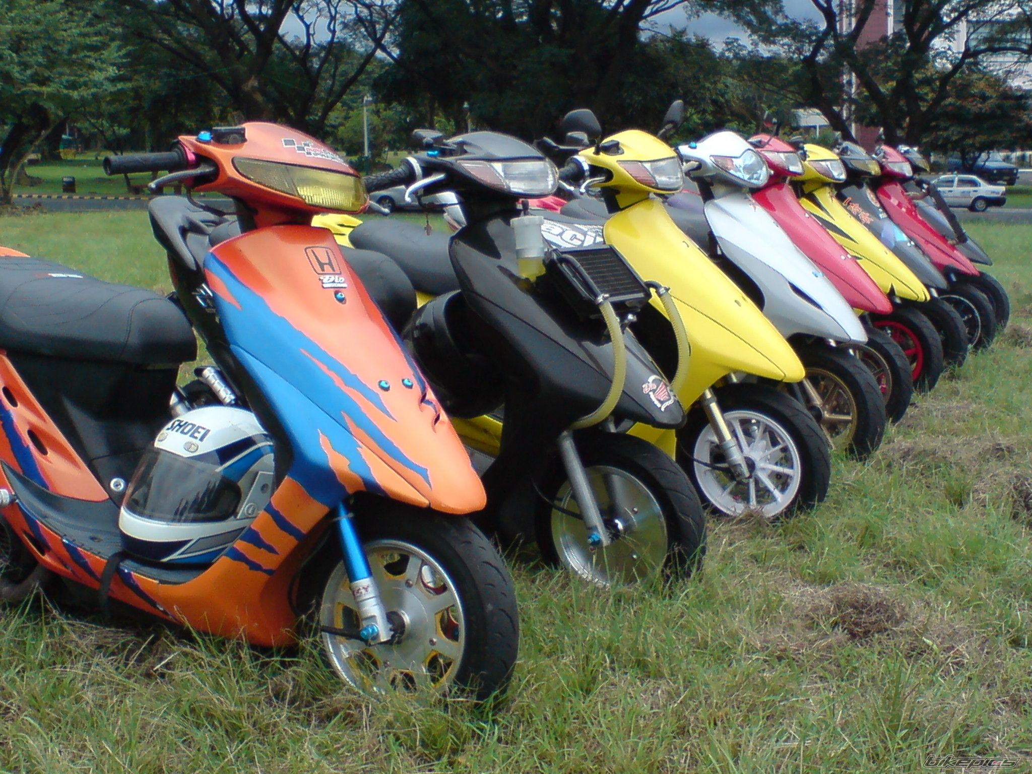 Photo 1576662
