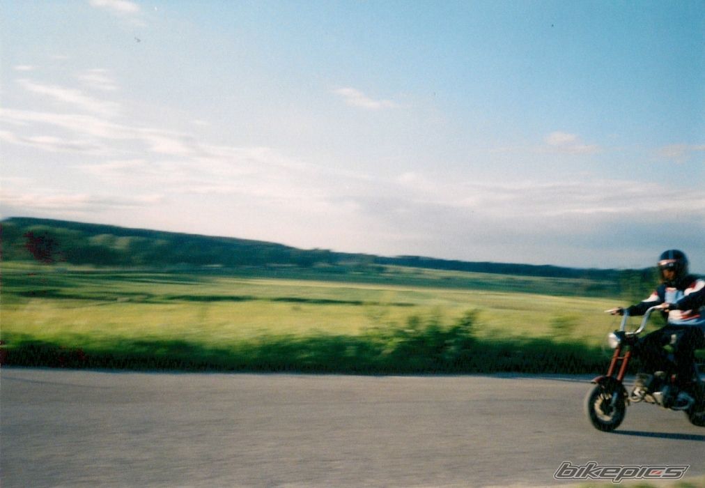 Photo 1576666