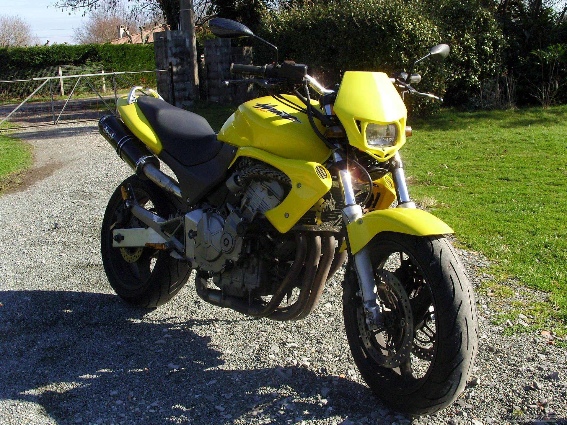 Photo 1576737