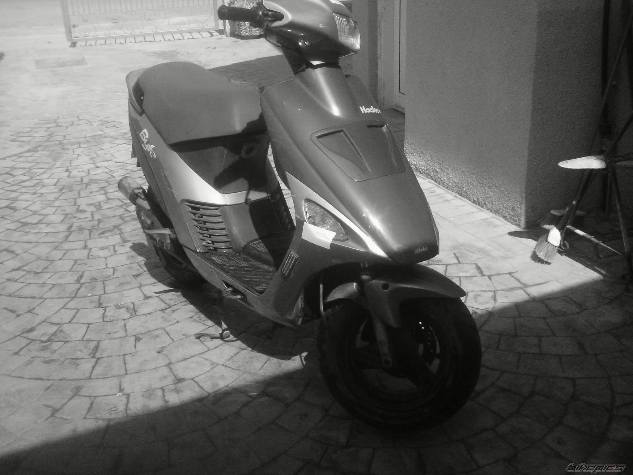 Photo 1576865