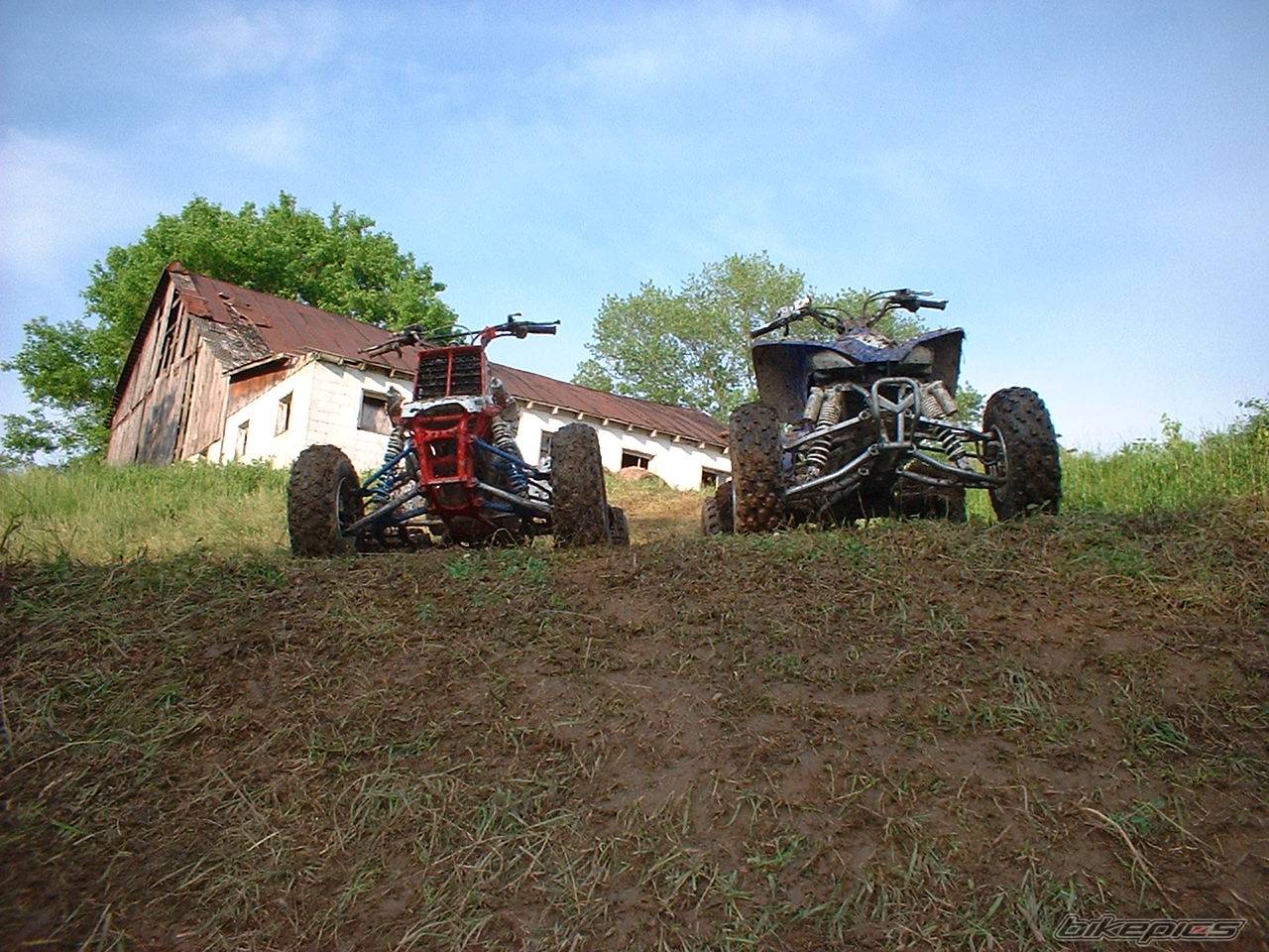 Photo 157687