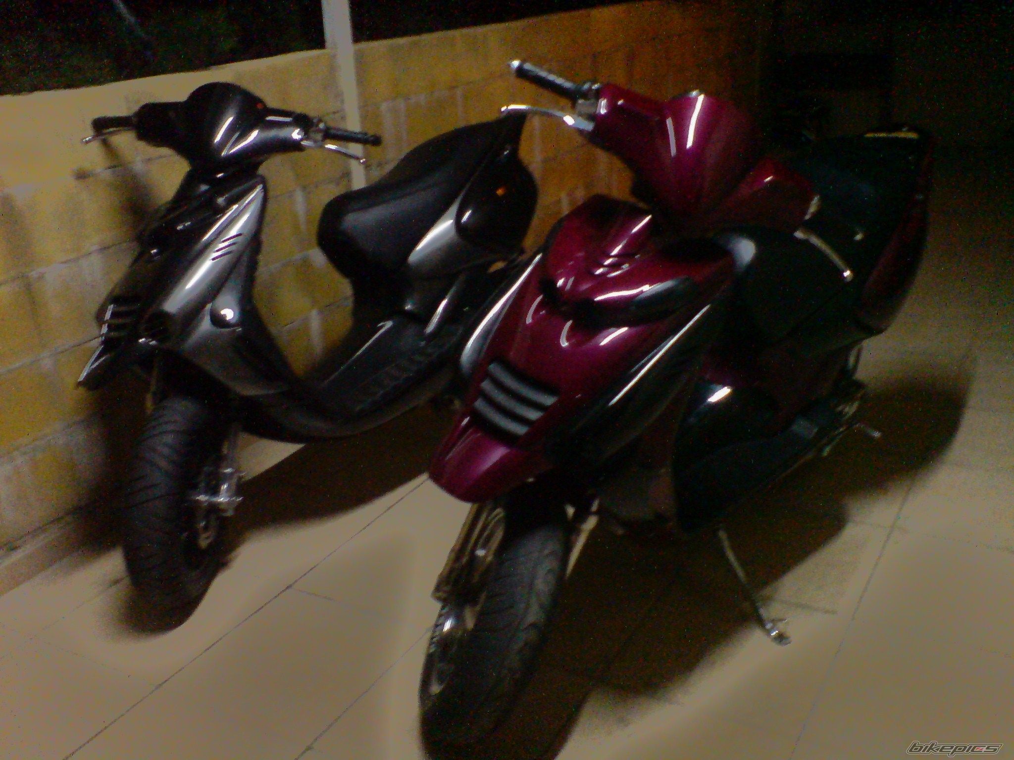 Photo 1577054