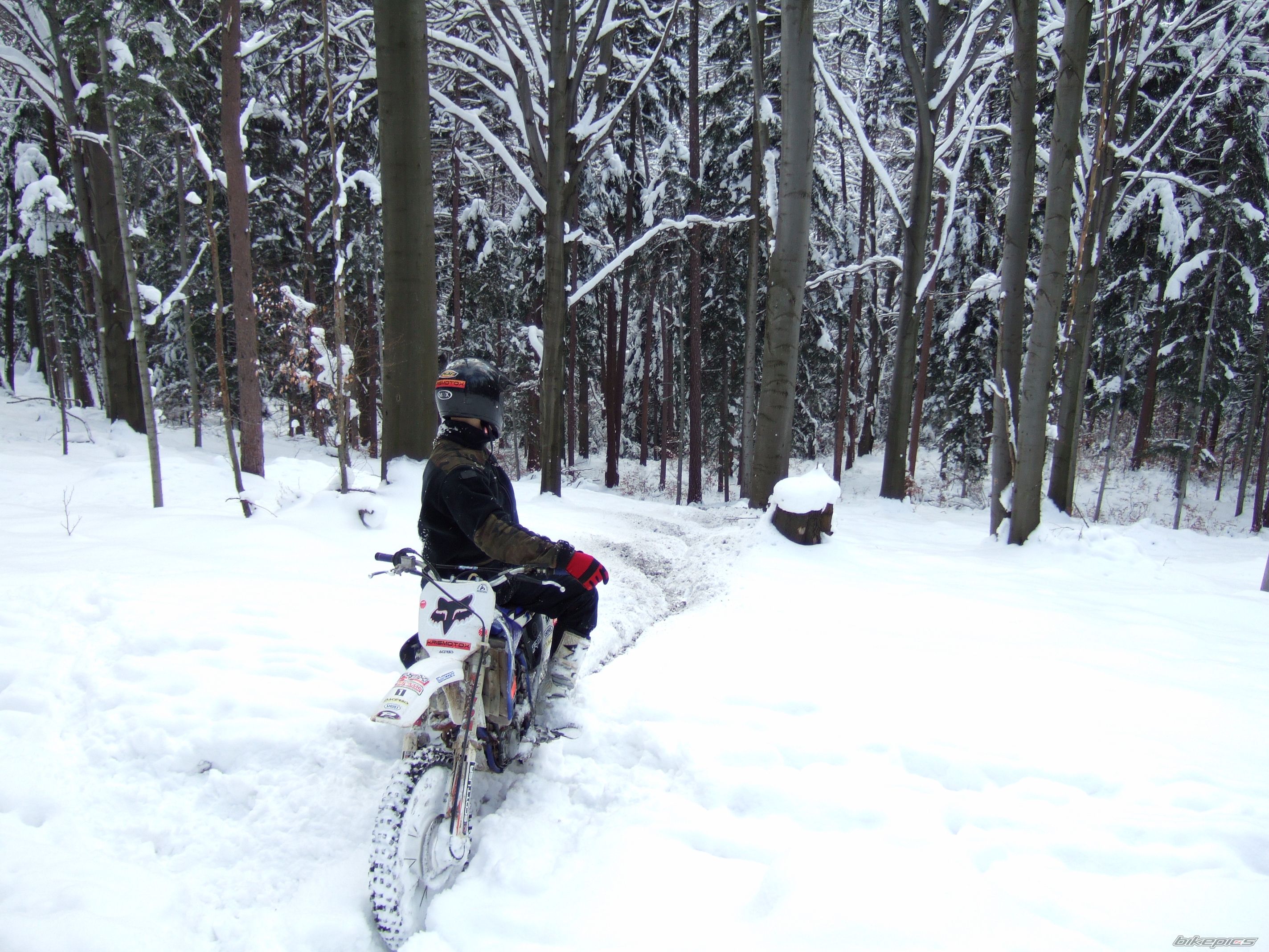 Bike Photo 1577098