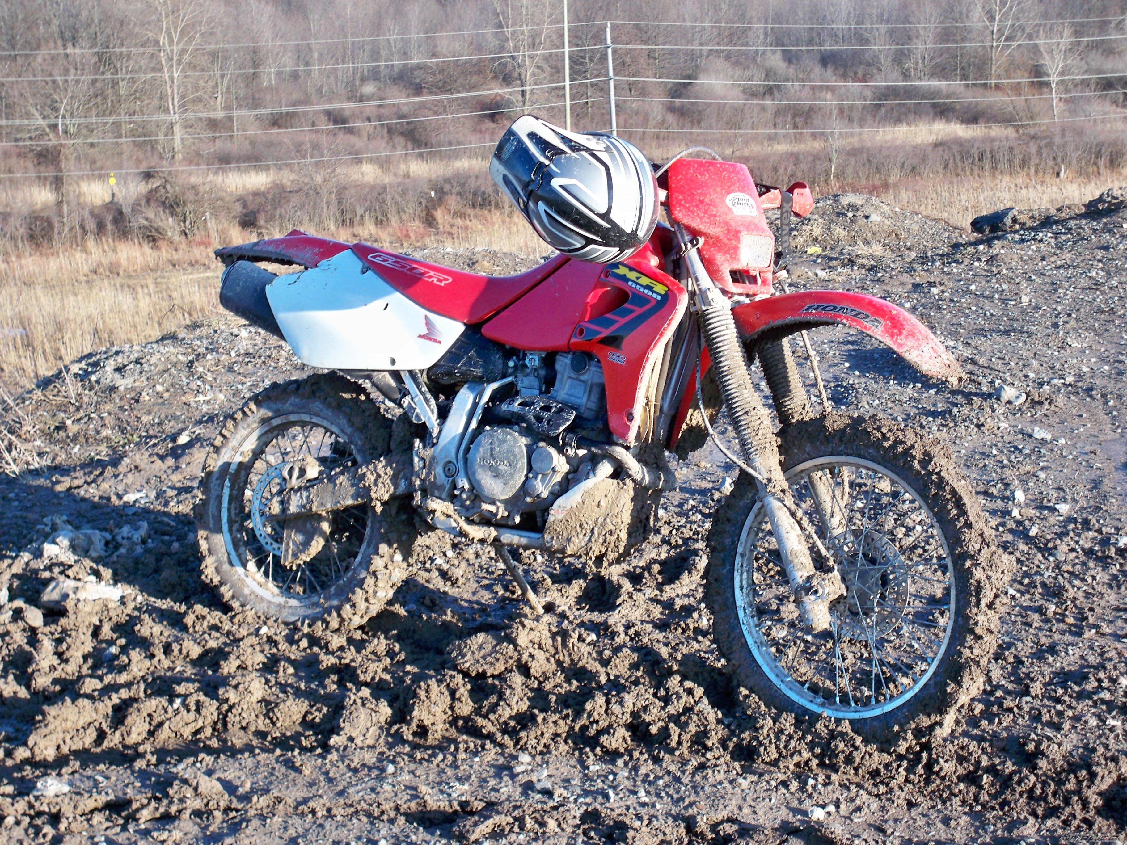 Bike Photo 1577211