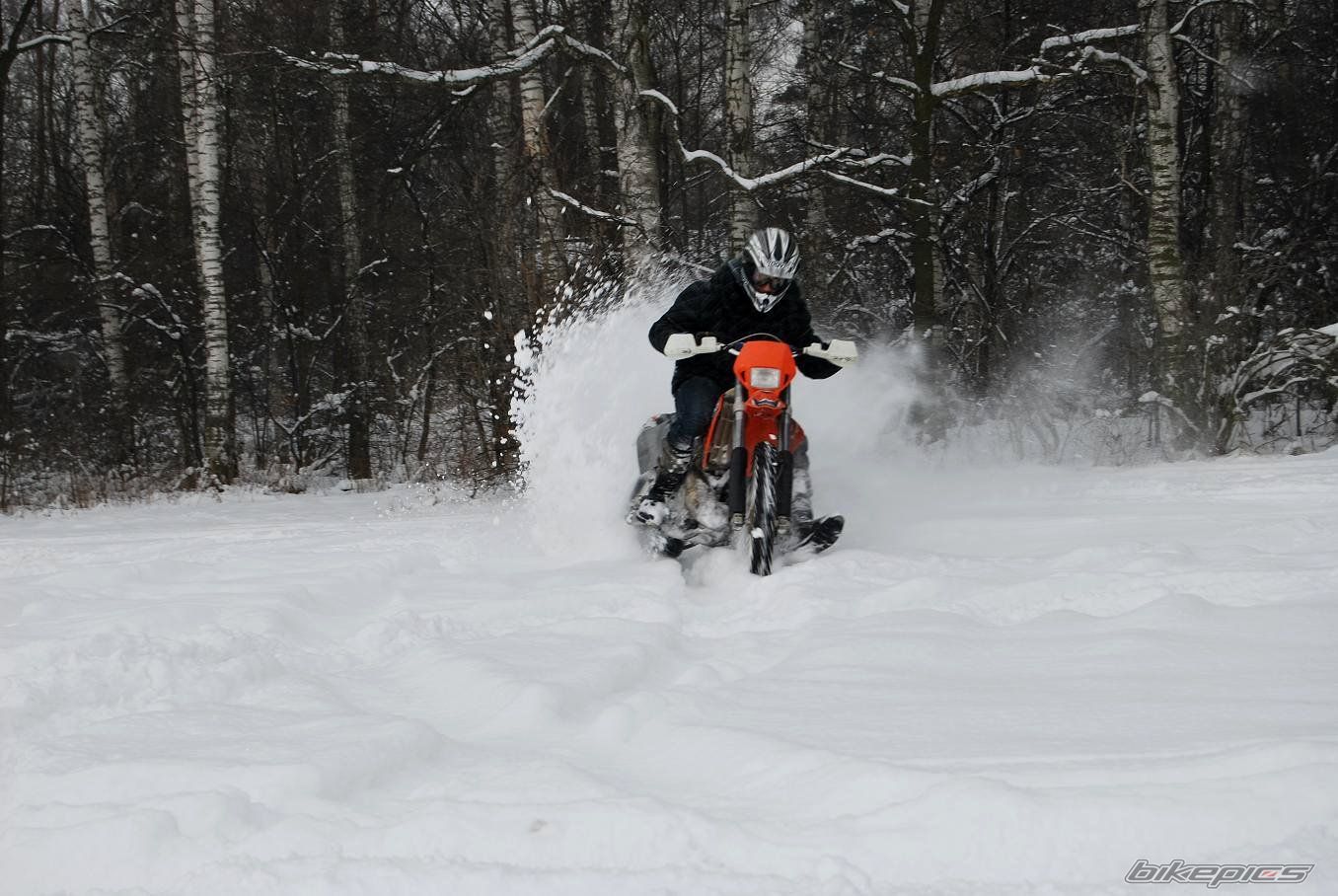 Photo 1577231