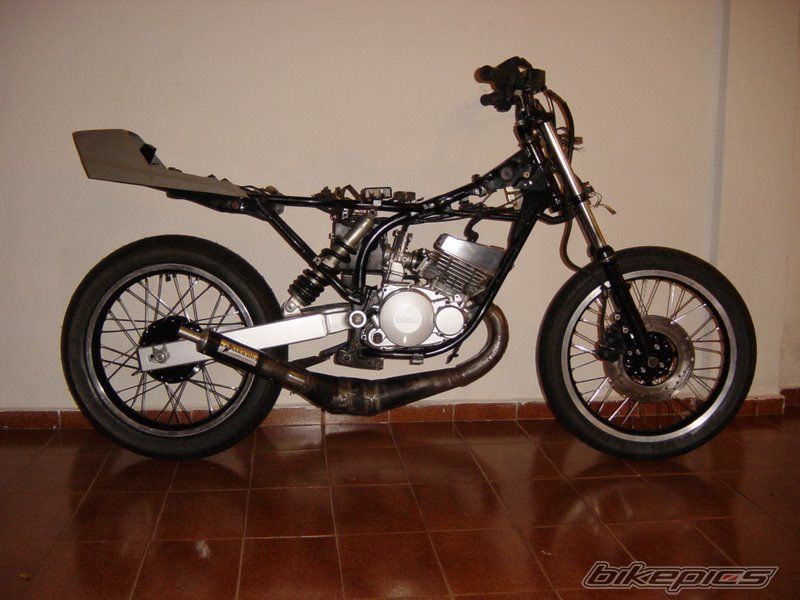 Photo 1577273