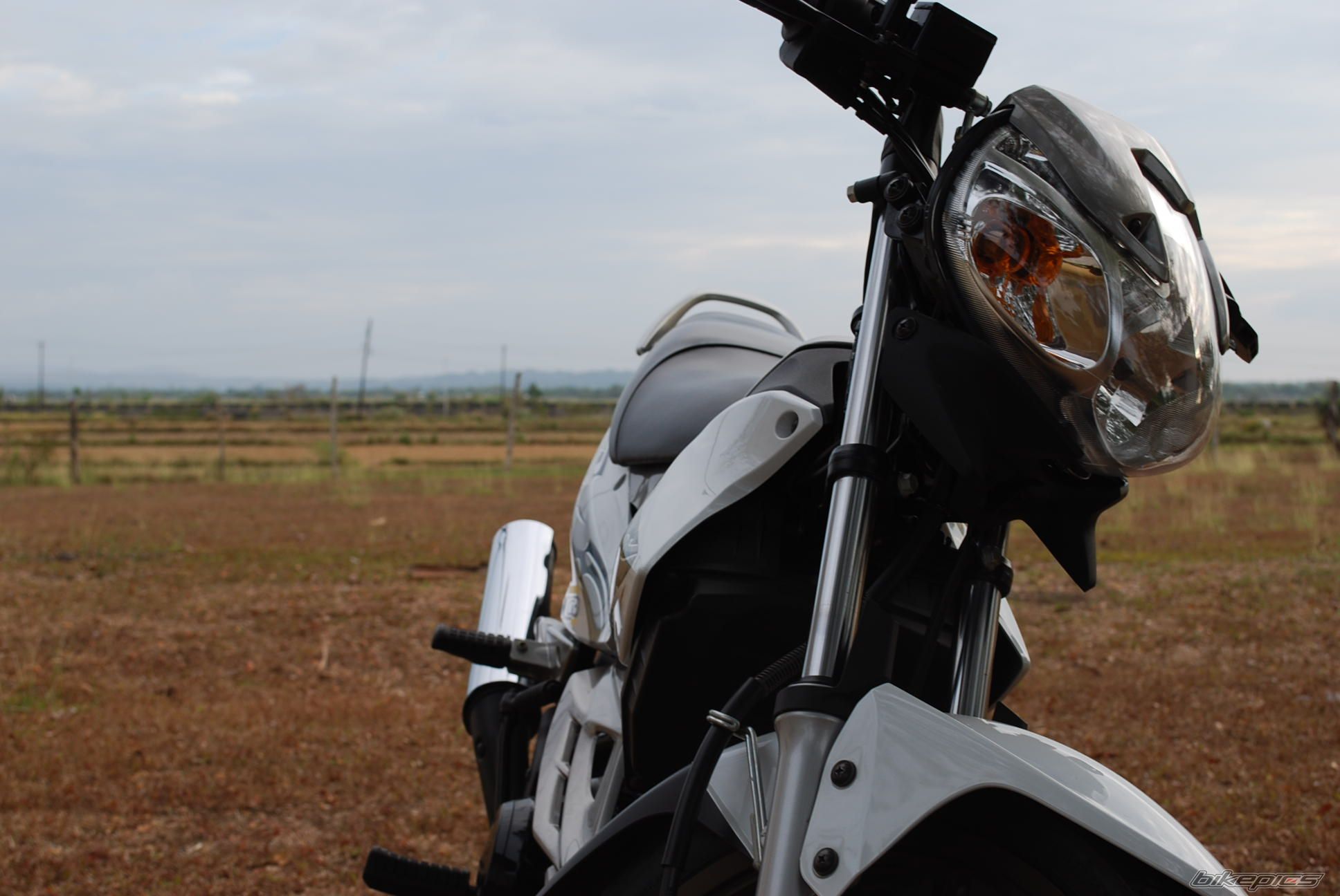 Photo 1577315