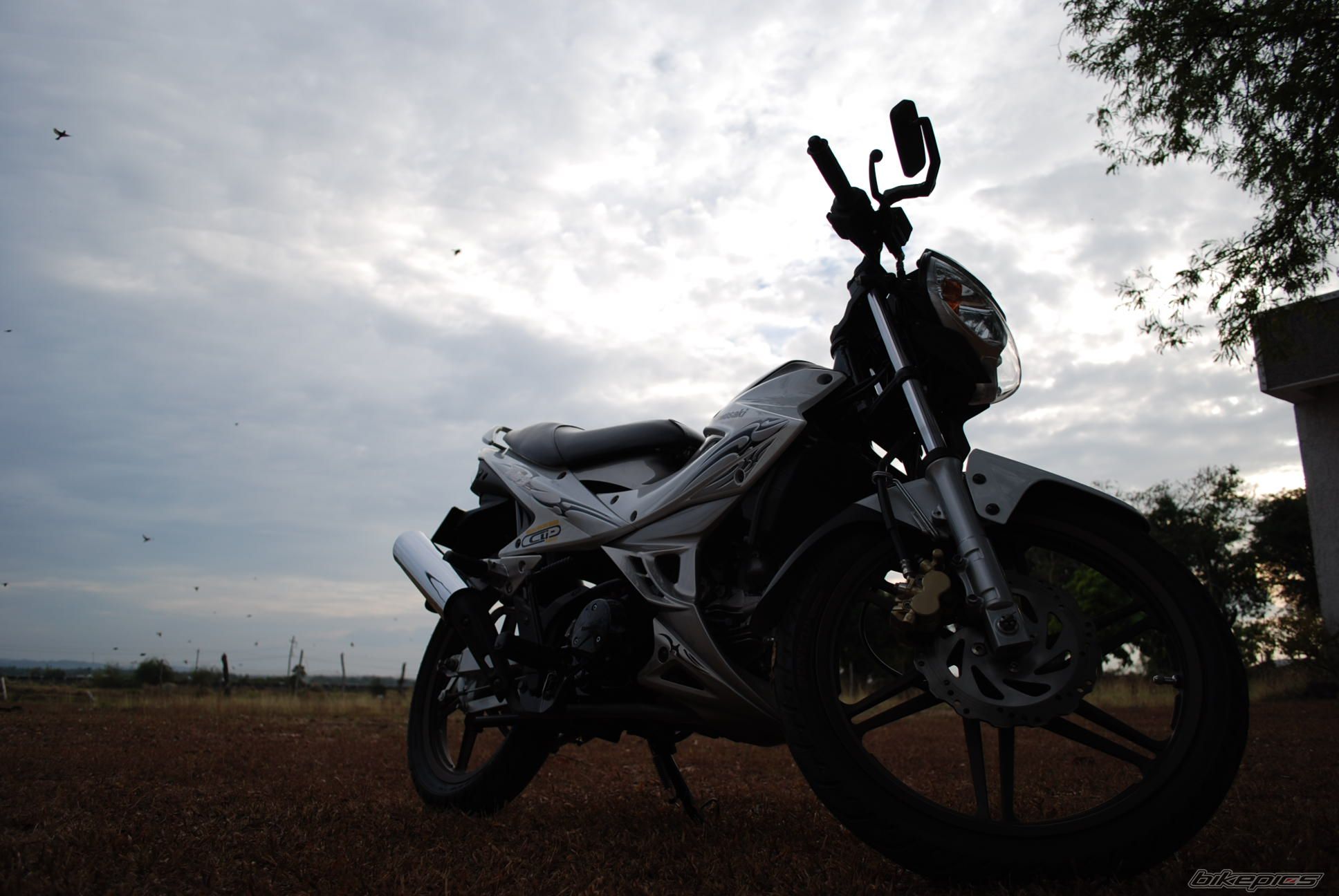 Photo 1577316