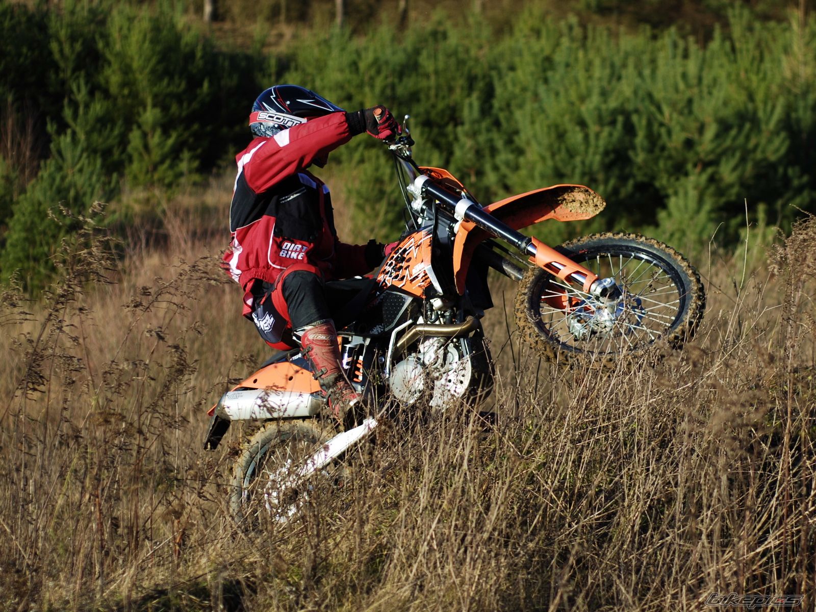 Photo 1577336