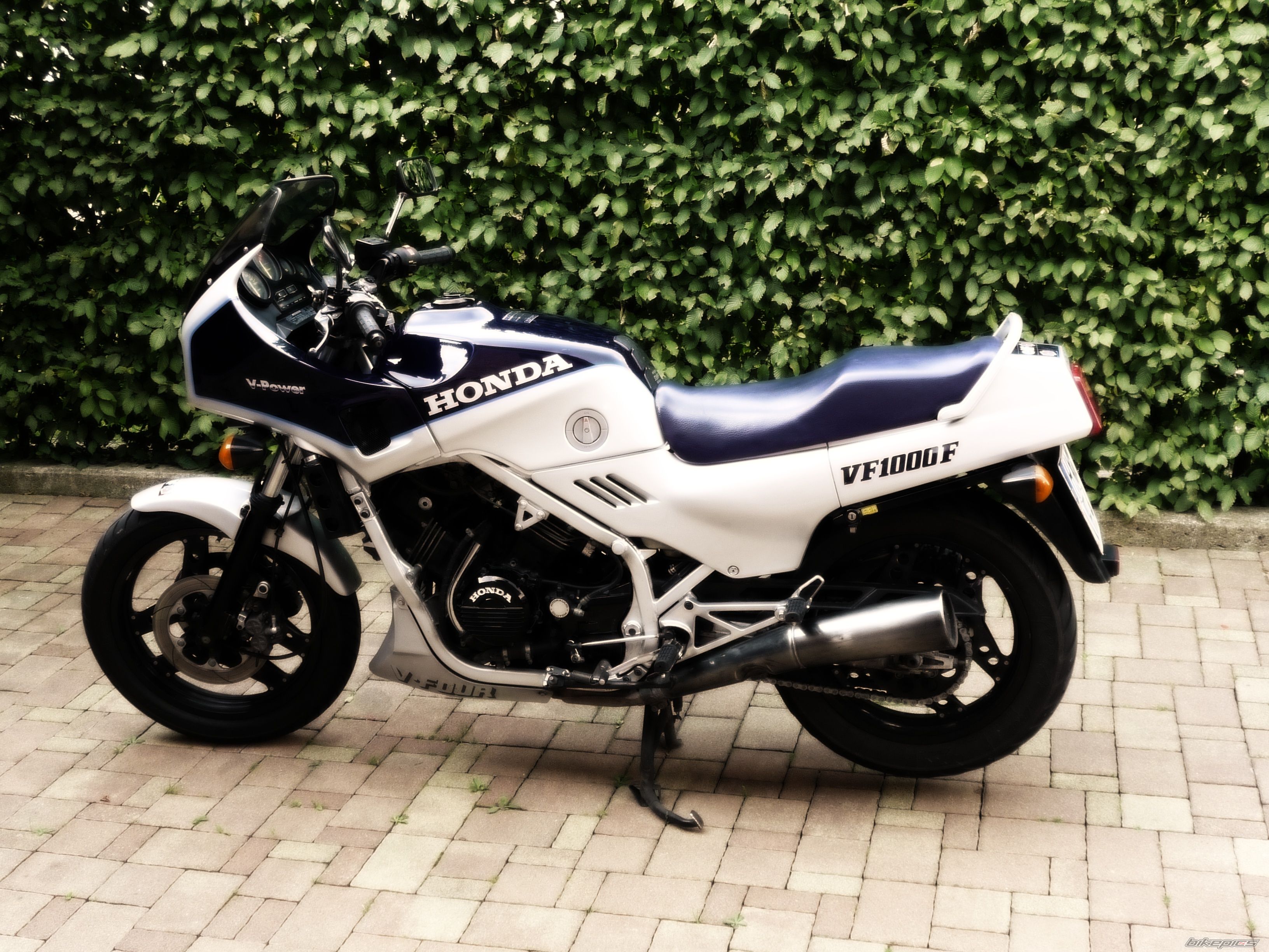 Photo 1577358