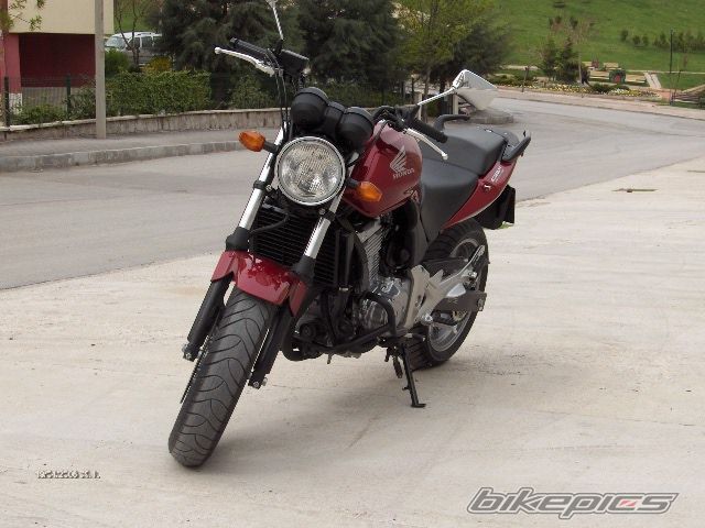 Photo 1577408