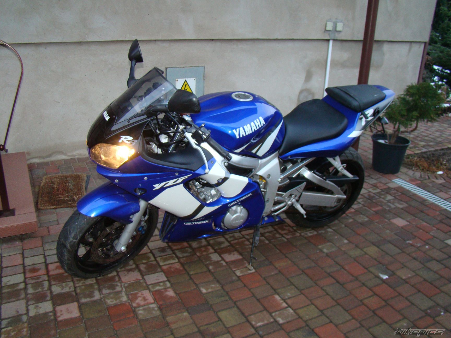 Photo 1577417
